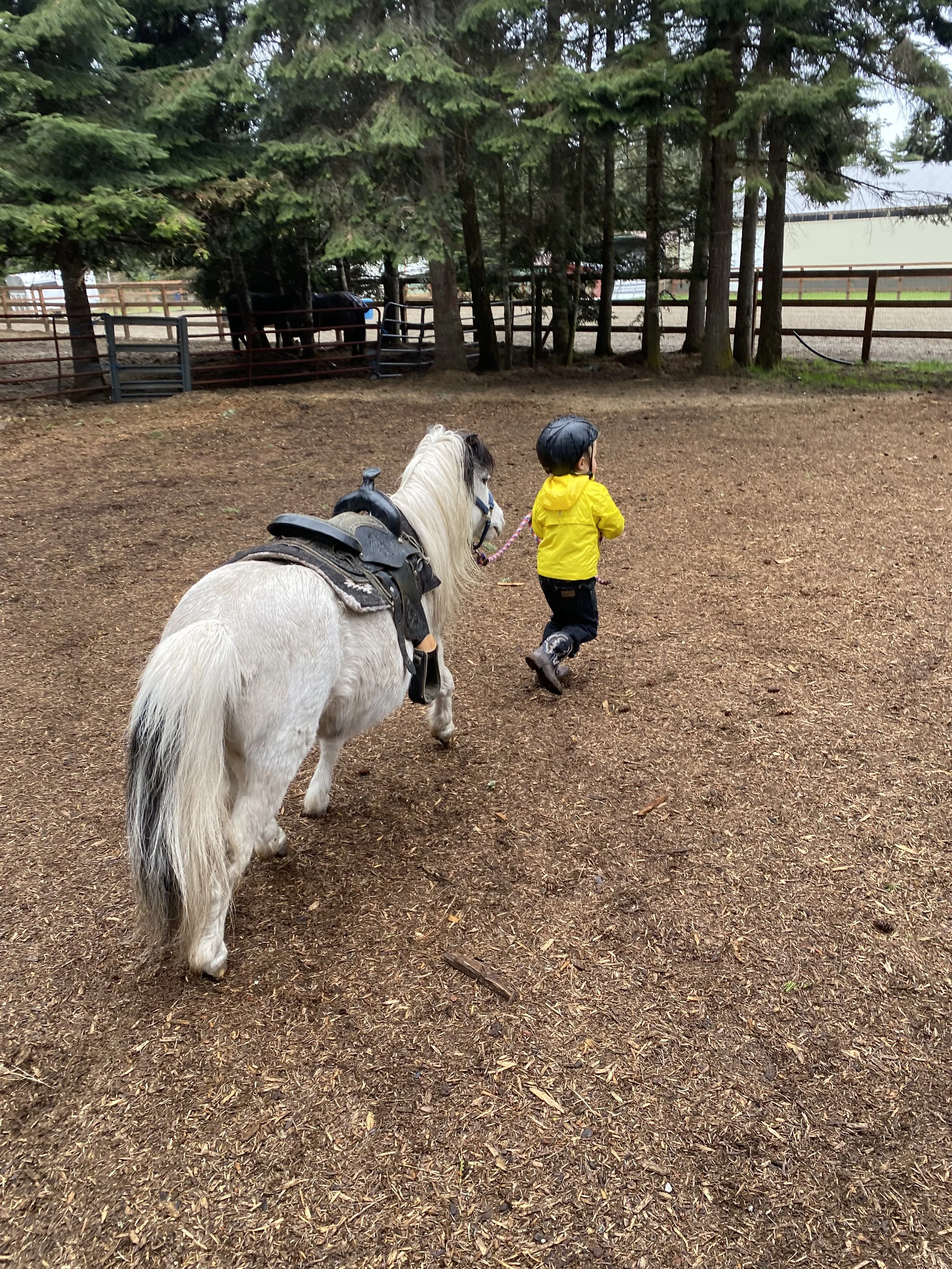 Photo Apr 19 2025, 10 34 15 AM.jpg