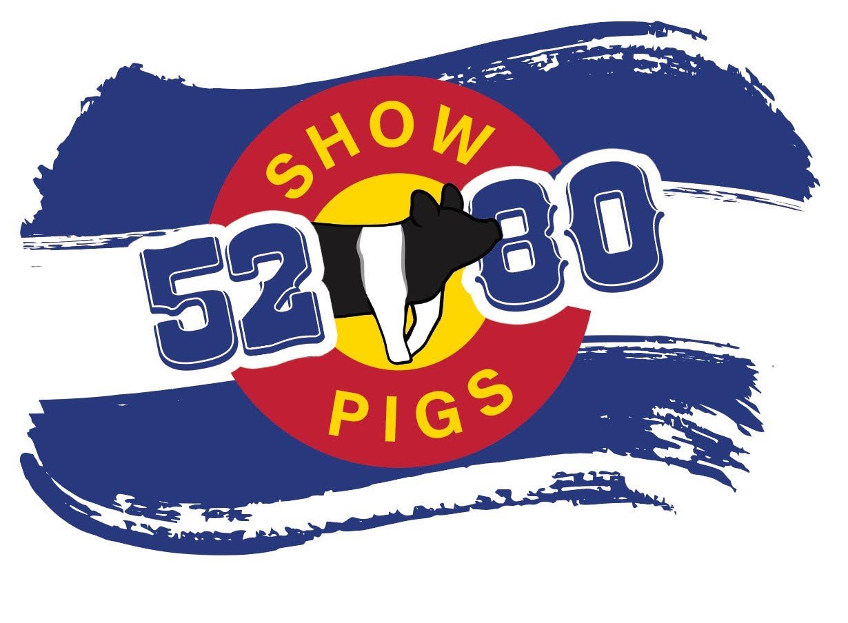 5280 Show Pigs
