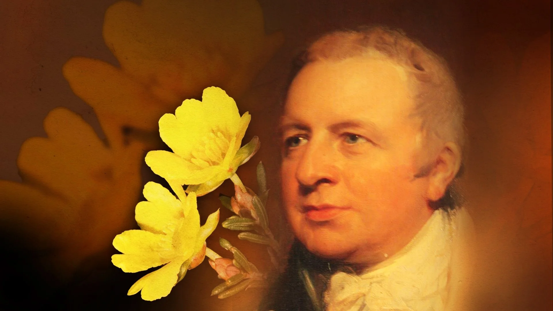 FLOWER MAN HEADER.jpg