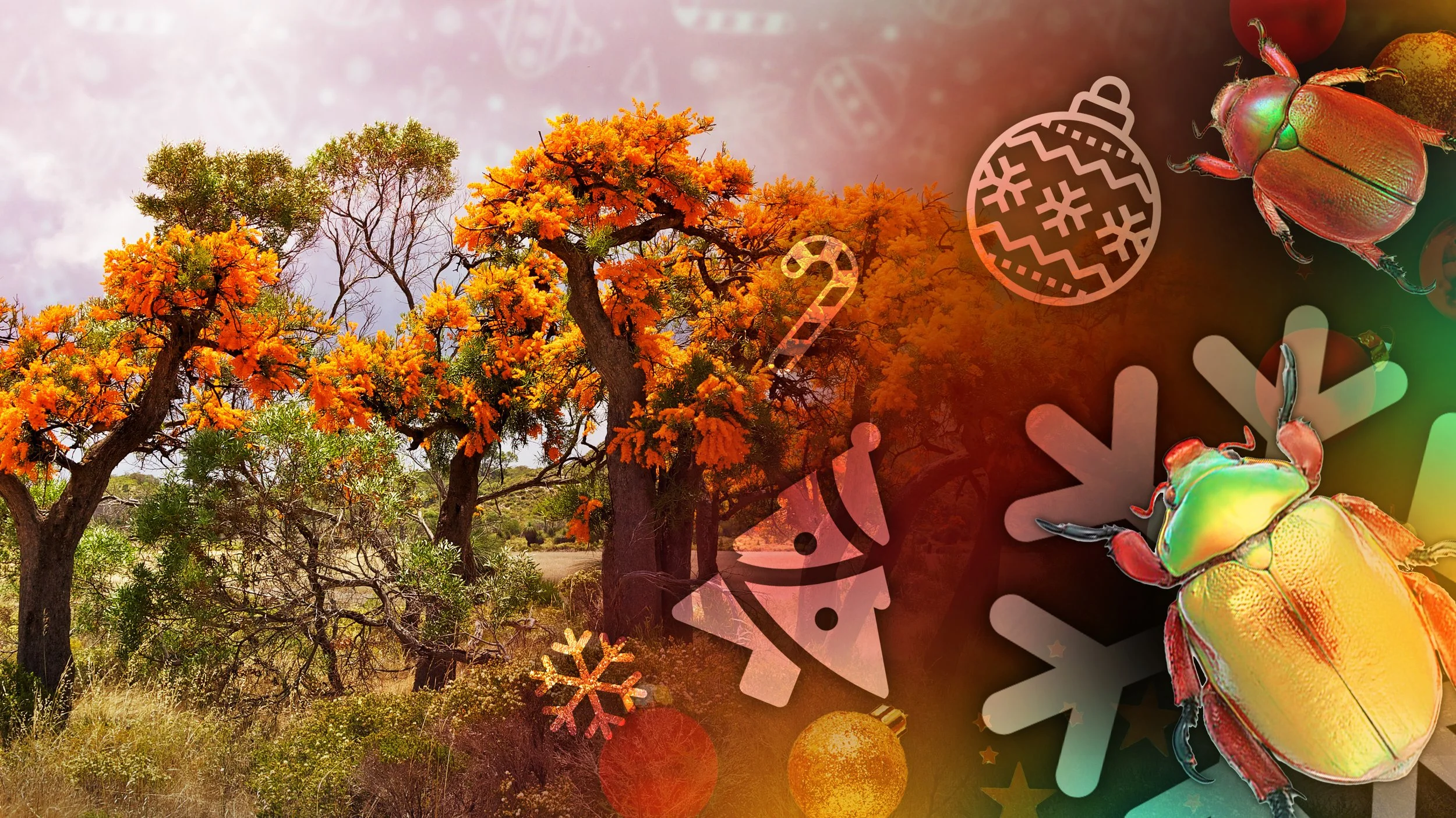 CHRISTMAS NATURE HEADER.jpg