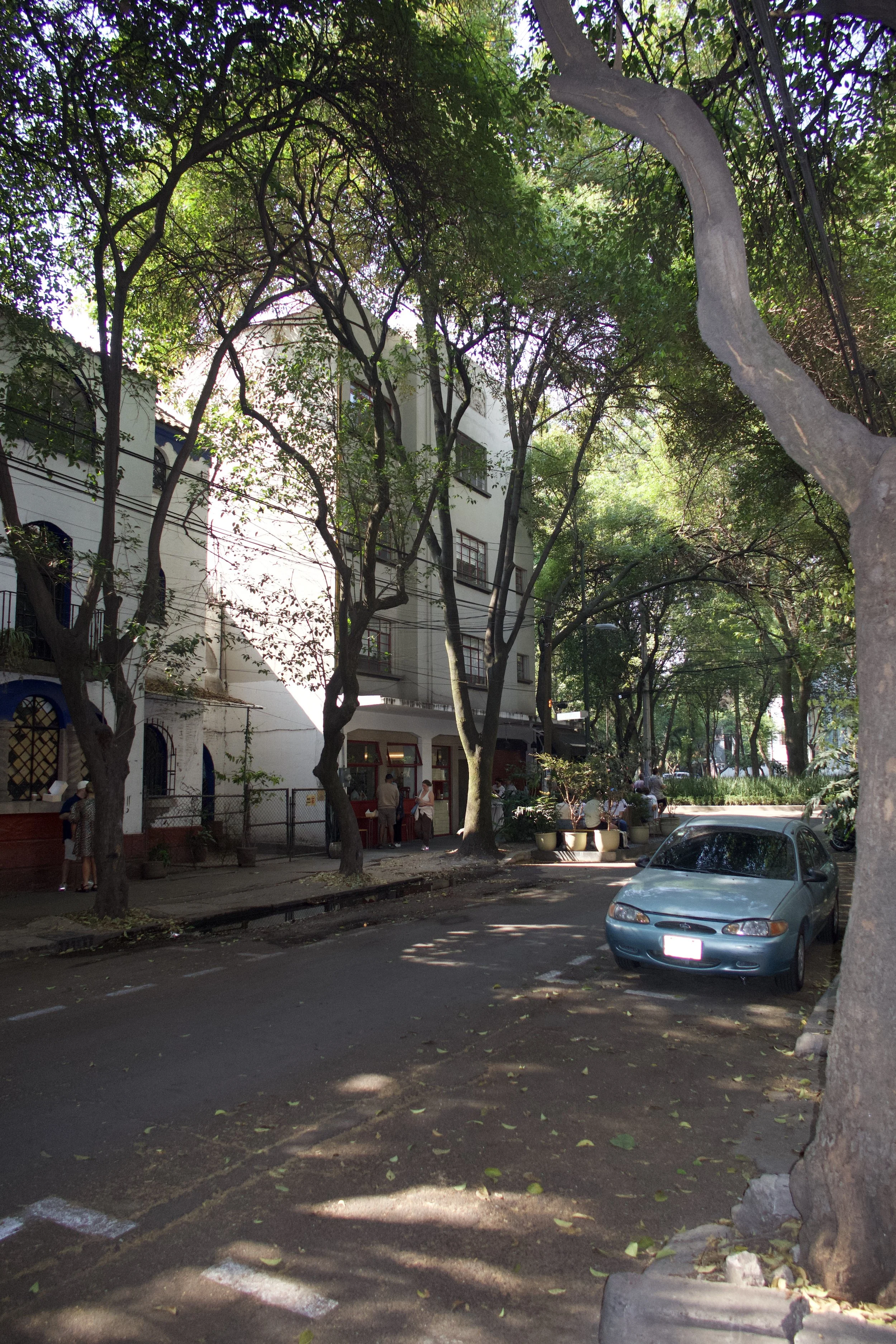 ree-lined street in Roma Norte, Mexico City, with historic early 20th-century buildings, outdoor cafes, and pedestrians walking along wide sidewalks under dappled sunlight.