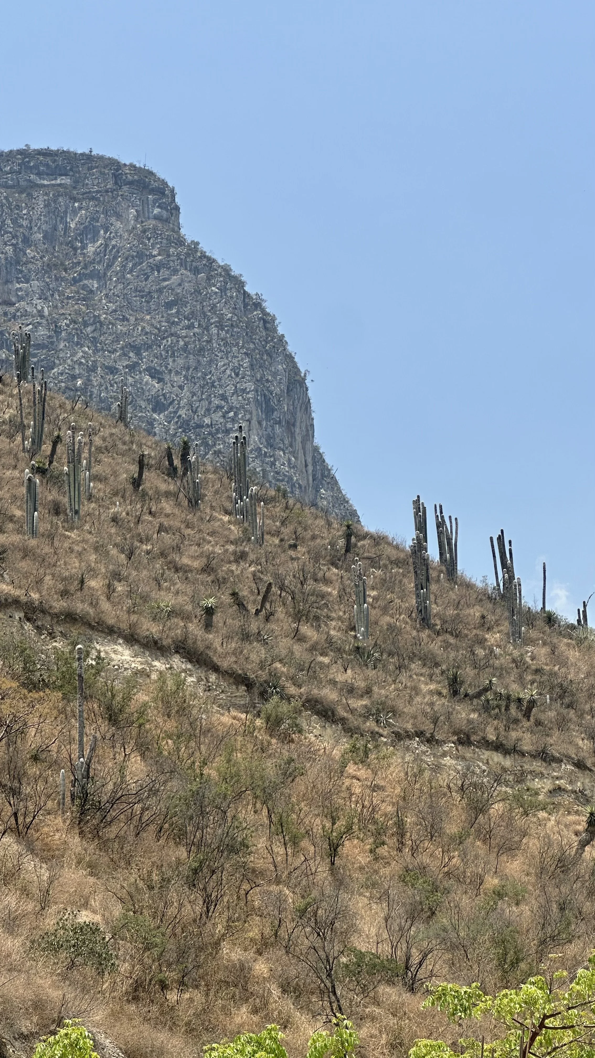 Views en route to Las Grutas