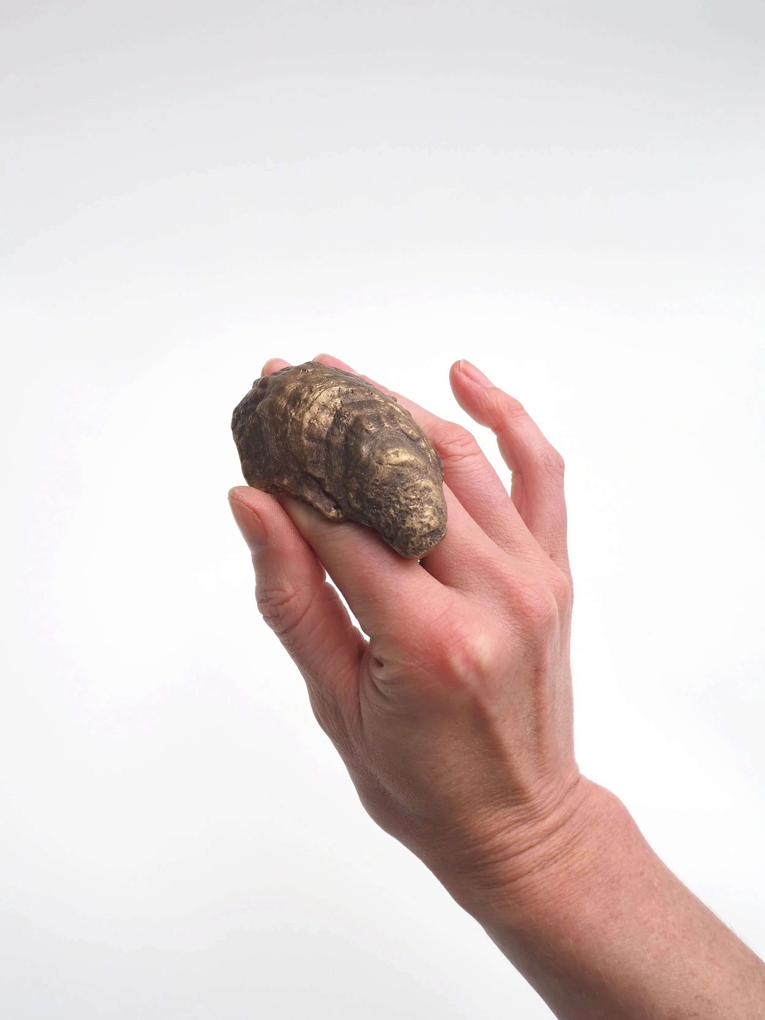 ostrea hand 1.jpeg