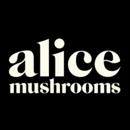 Black background with white text that reads 'alice mushrooms'.