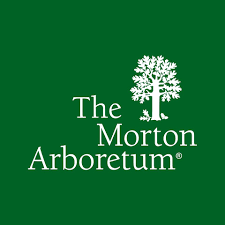 Morton Arboretum