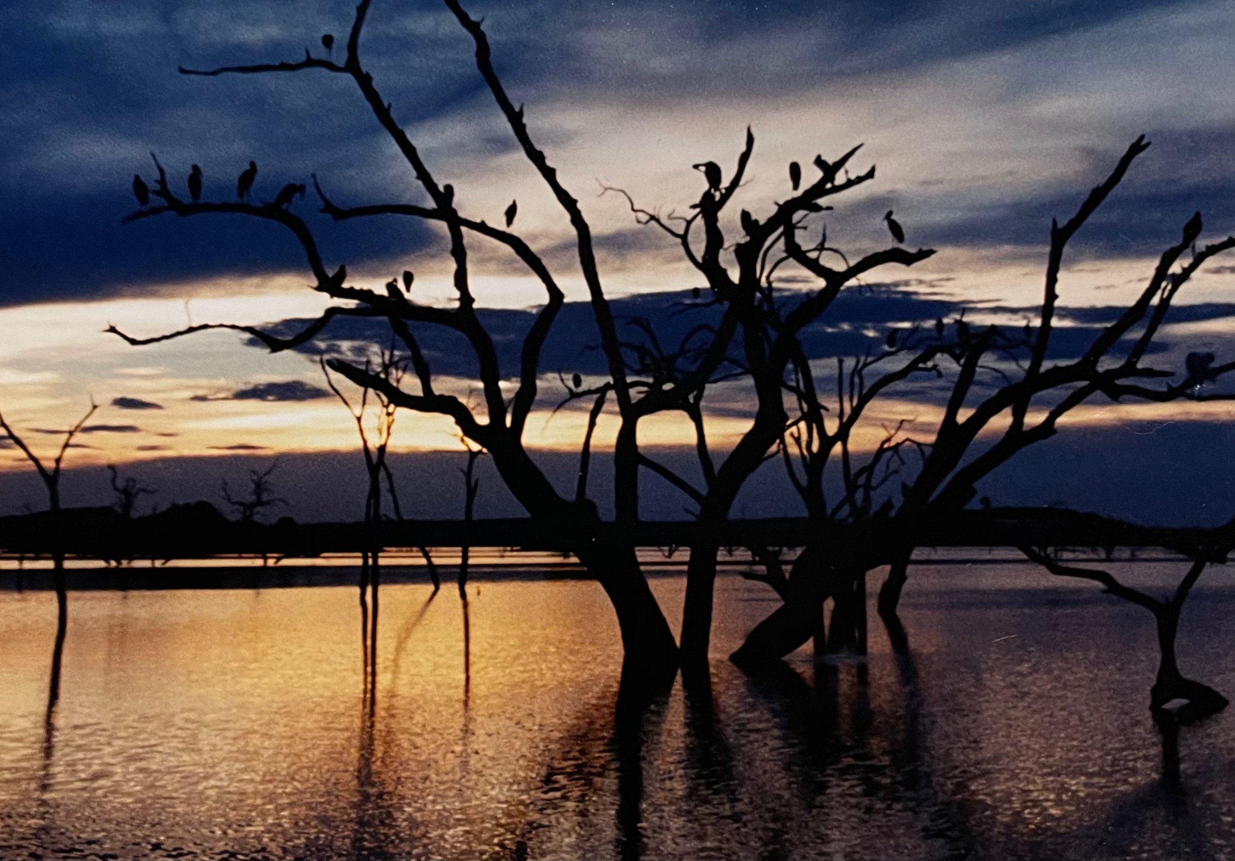Lake Kariba: Africa’s inland sea of stories, sunsets, and survival