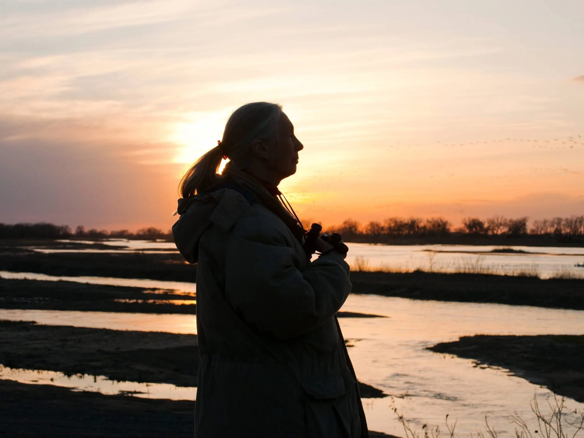 A Life That Changed How We See the World