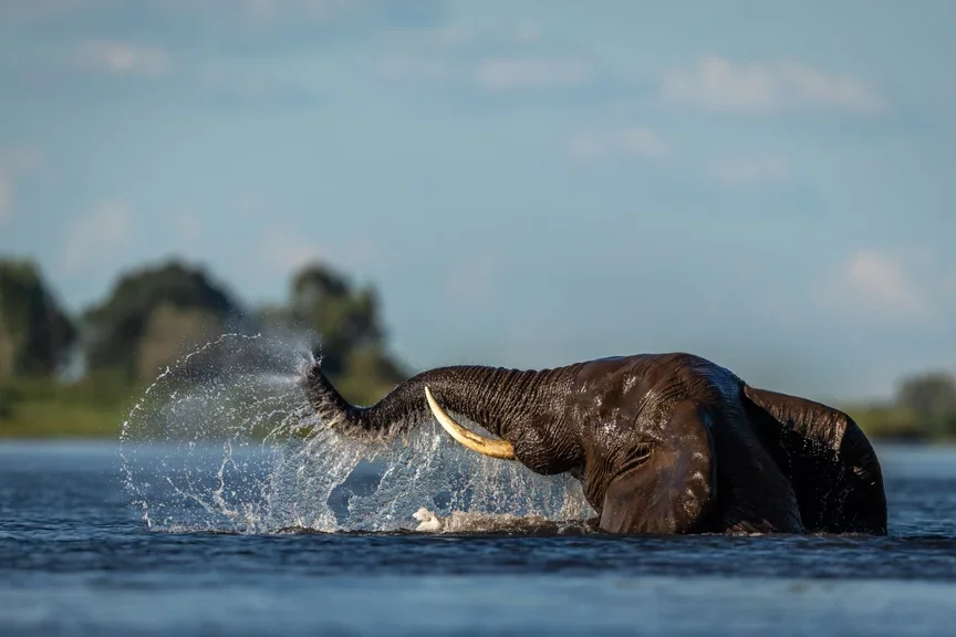 Africa in Transition: The Truth About Safari Travel in May
