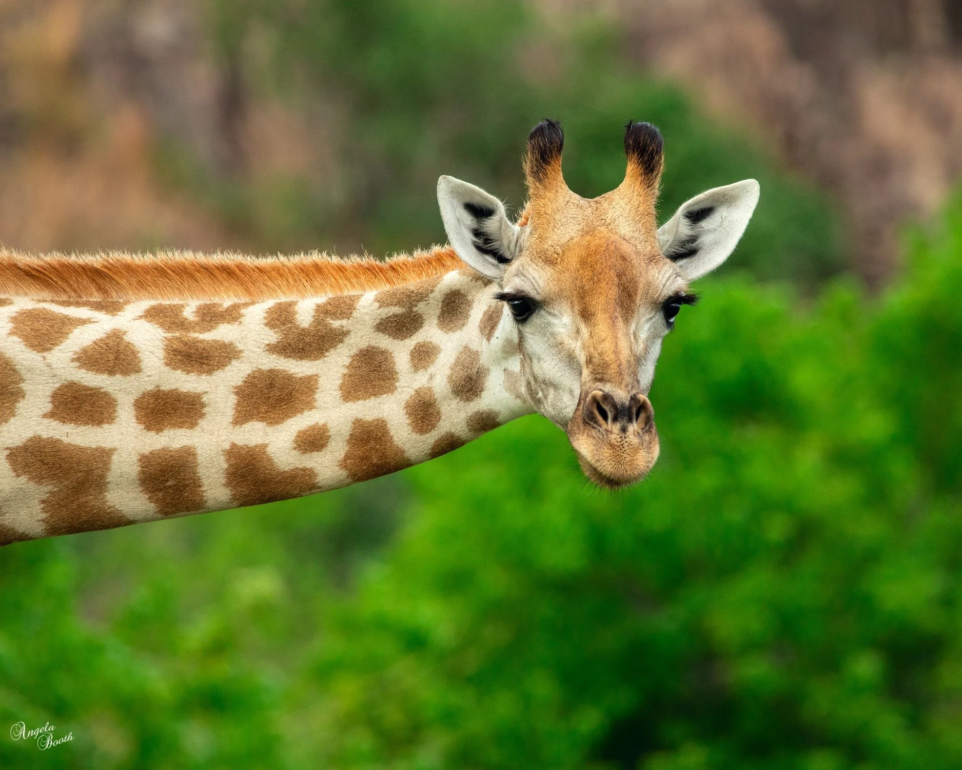 Your African Adventure Begins Long Before You Arrive…