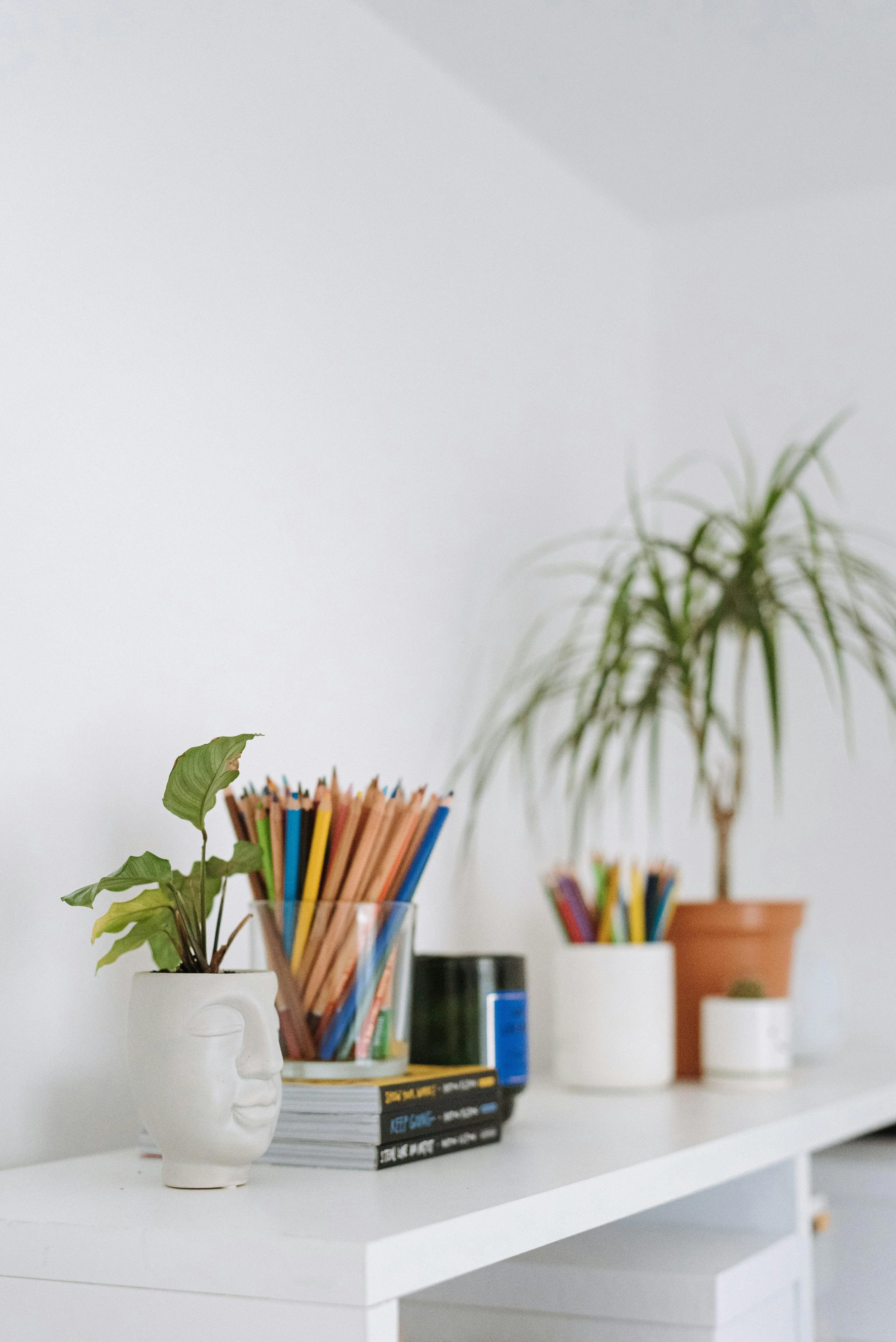 Photo features items on a bookshelf | Get a Psychological Evaluation and Assessment in Seattle & Bothell, WA and across the United States | 98109 | 98011