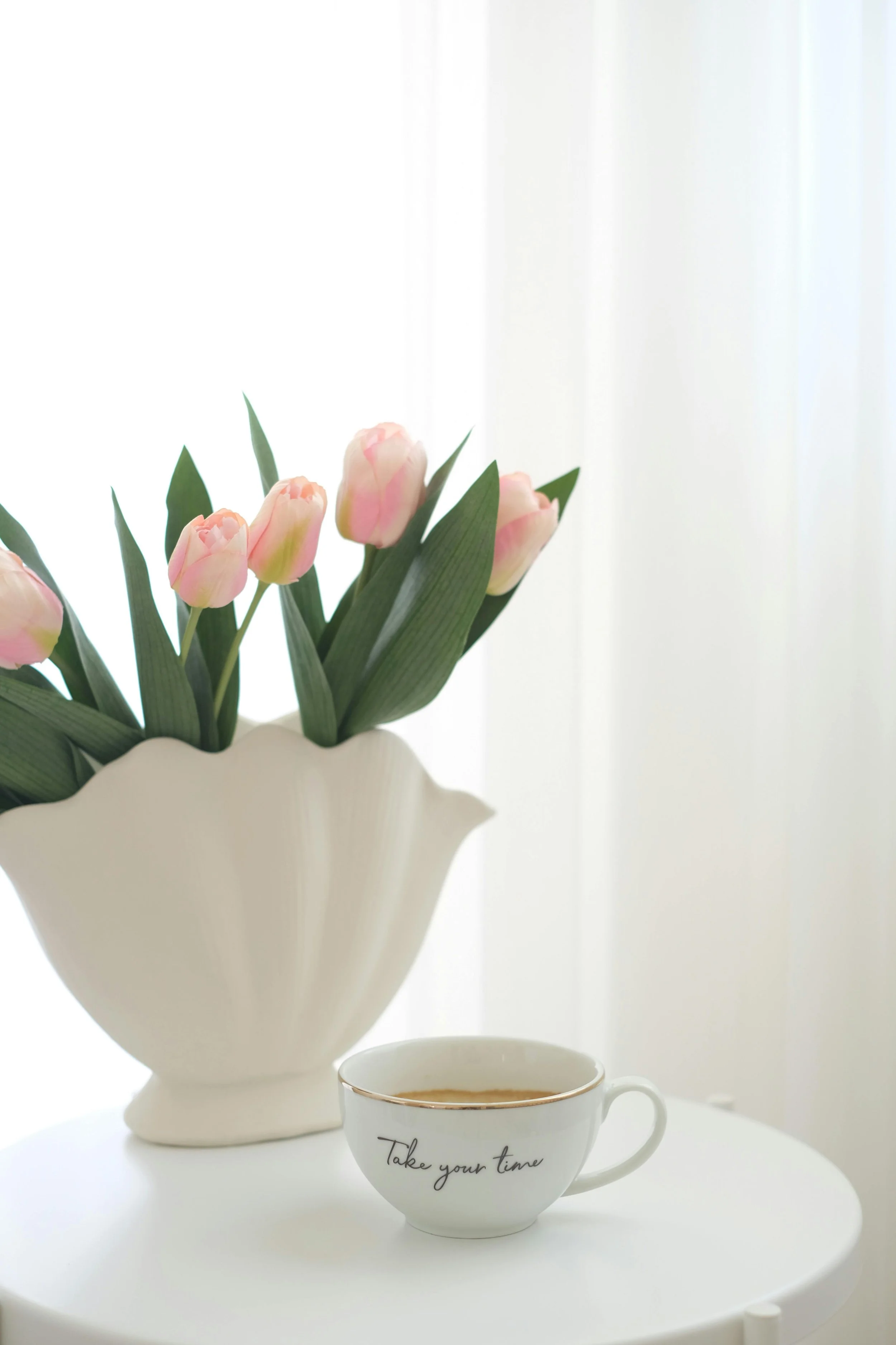 Contact Dr. Elizabeth (Liz) Bisi