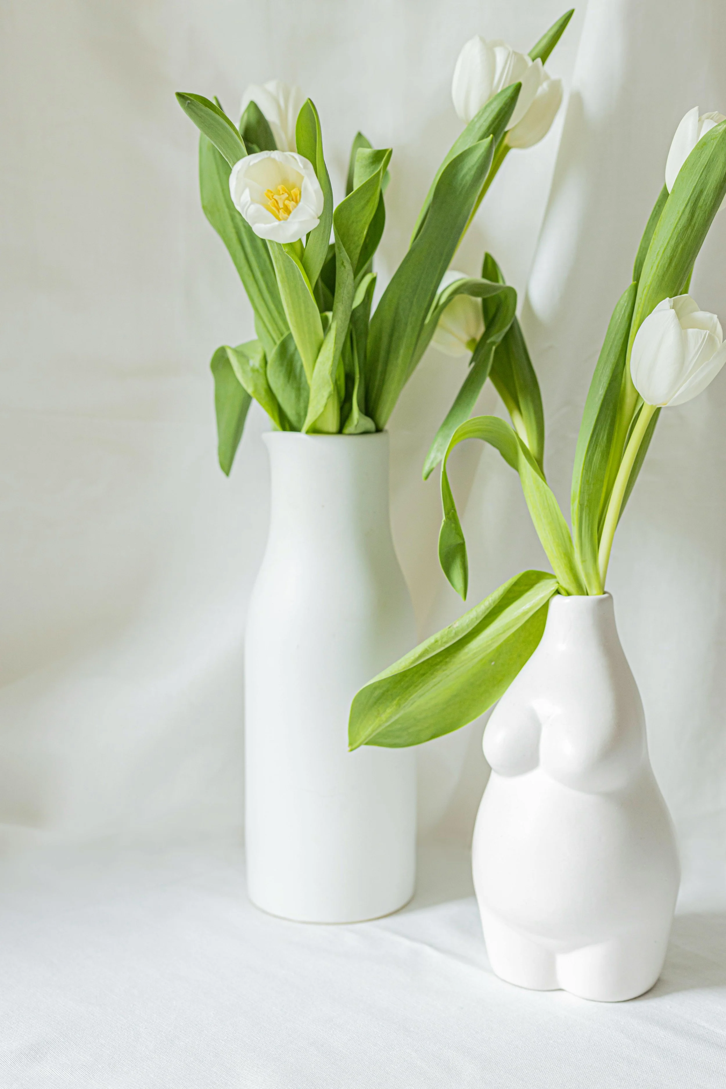 Meet Dr. Elizabeth (Liz) Bisi