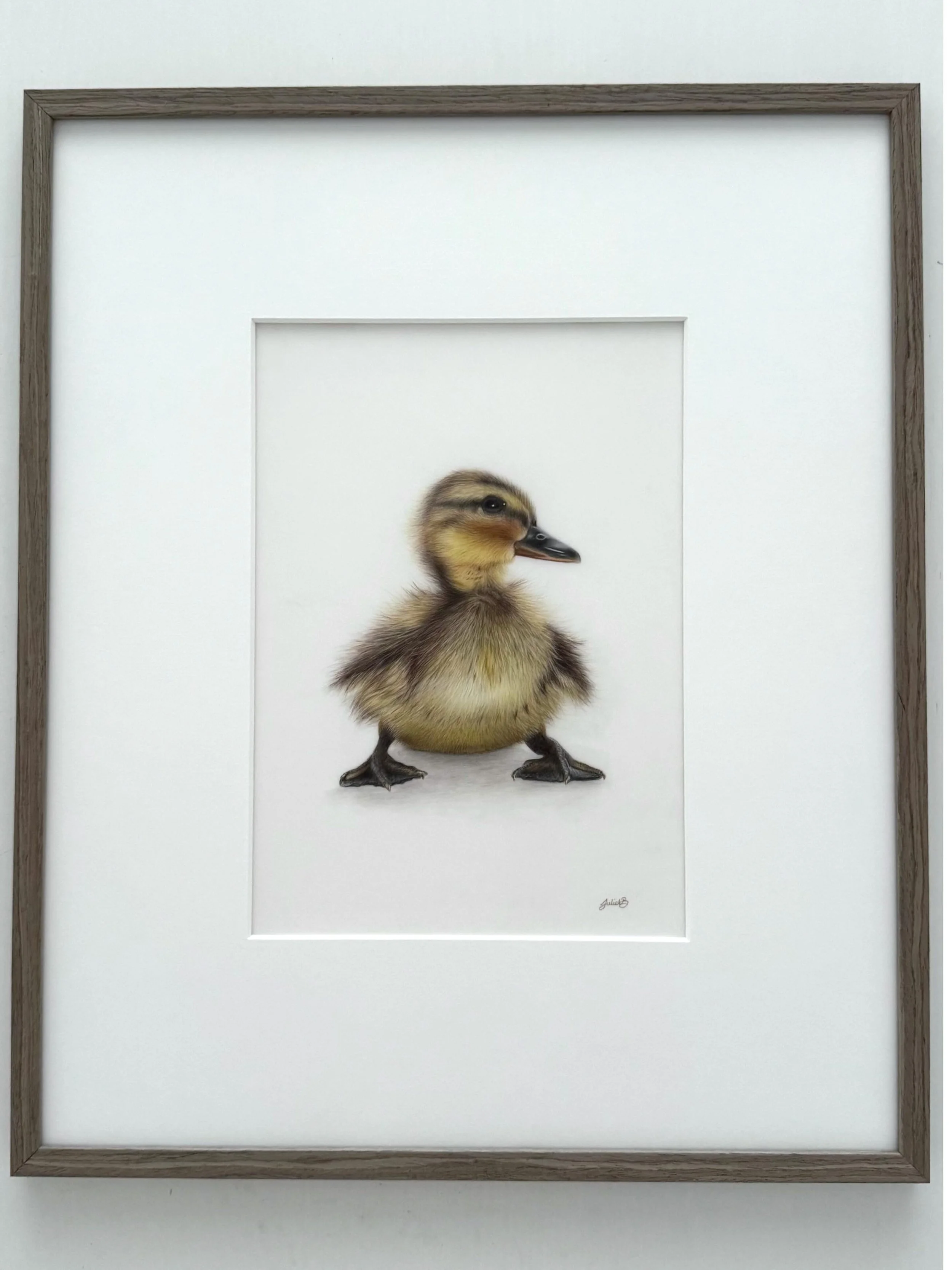 &ldquo;Puddle&rdquo; framed size 50cm(h) x 41.5cm(w)
All archival, coloured pencils on Grafix Drafting Film - available now though my Bio ☺️

#colouredpencilartist #duckling #pencilart #animalportraits #duckart