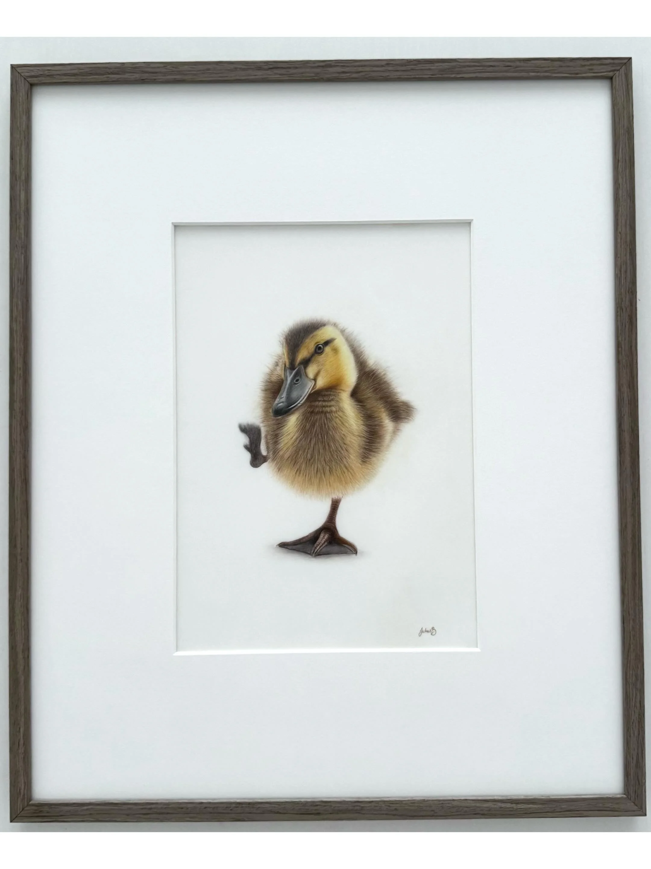 &ldquo;Waddle&rdquo; framed size 50cm(h) x 41.5cm(w)
All archival, coloured pencils on Grafix Drafting Film - available now though my Bio ☺️

#colouredpencilartist #duckling #pencilart #animalportraits #nurseryart