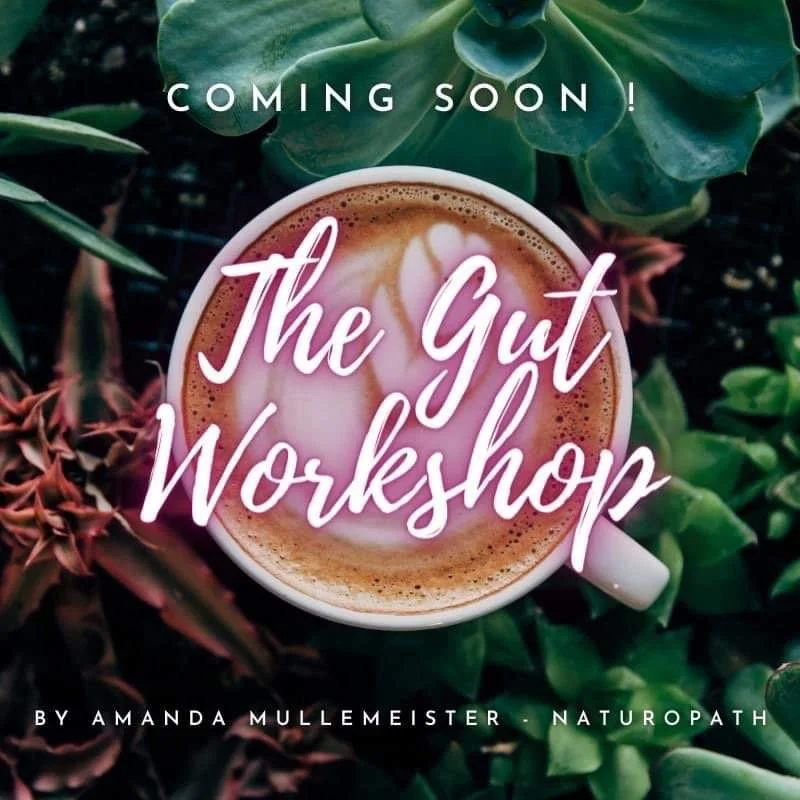 The Gut Workshop