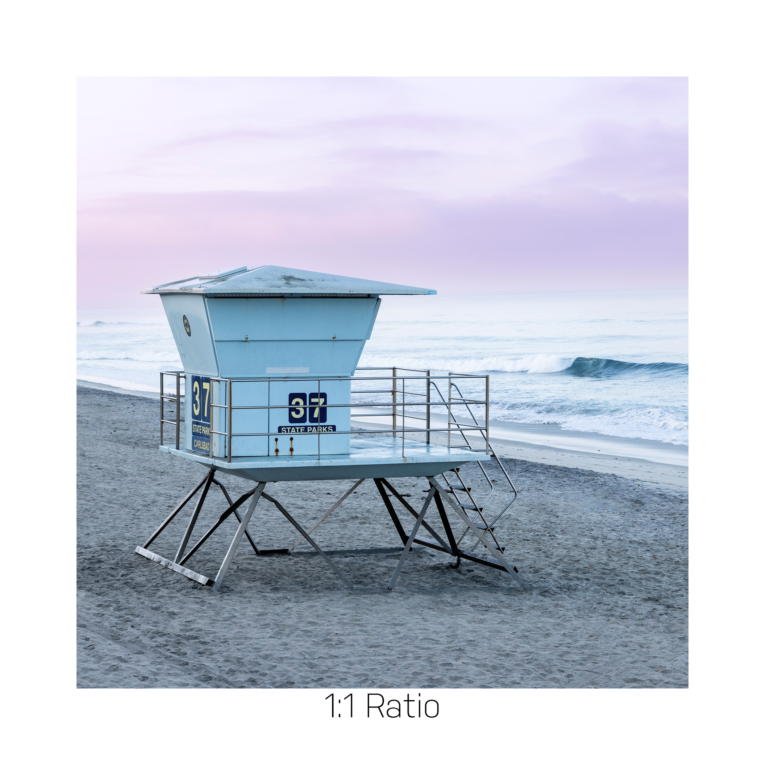 Towe-37--purple-12x12.png
