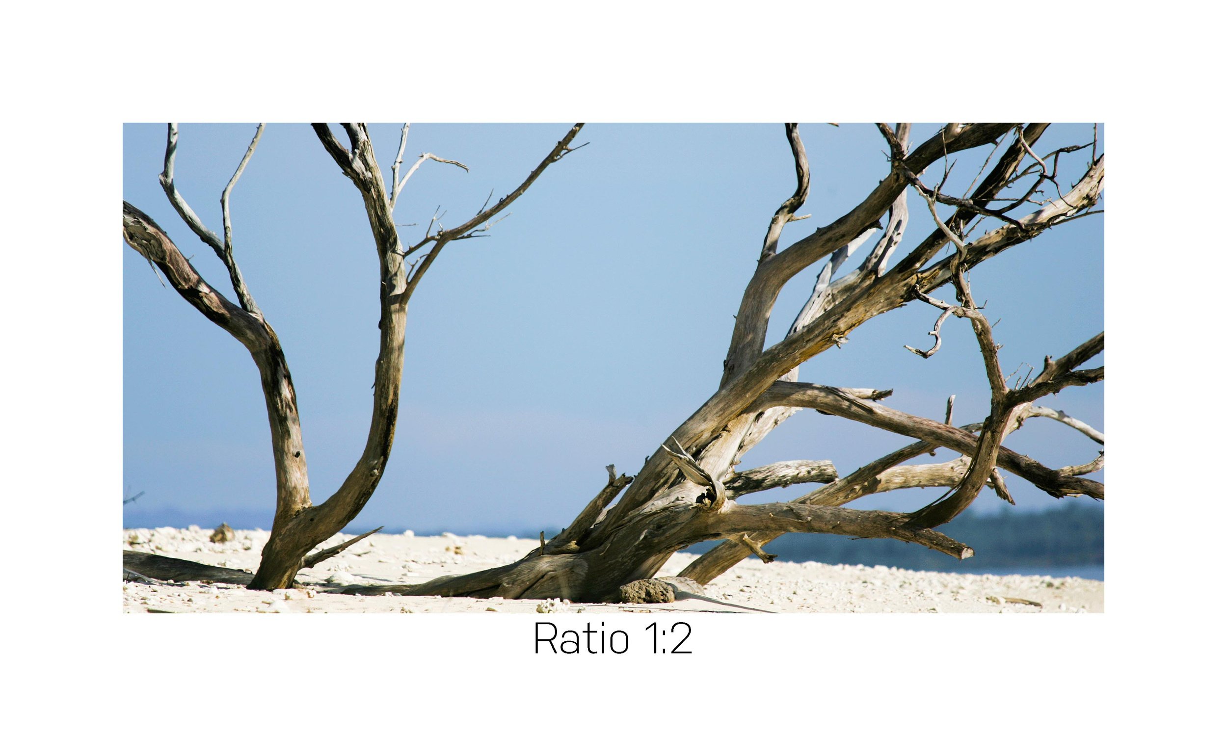 TwistedKnot_Color_12x24.jpg