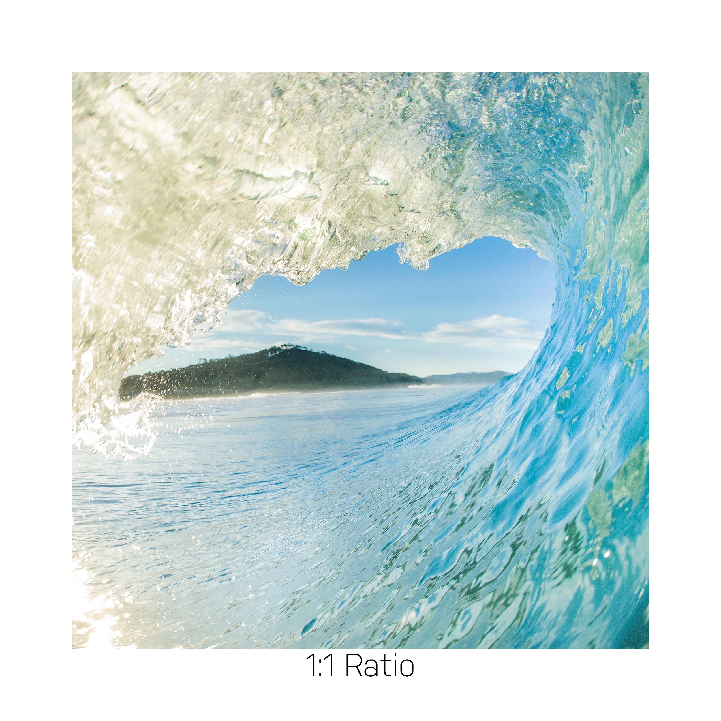 TorreyGOLD-ST-12x12.jpg