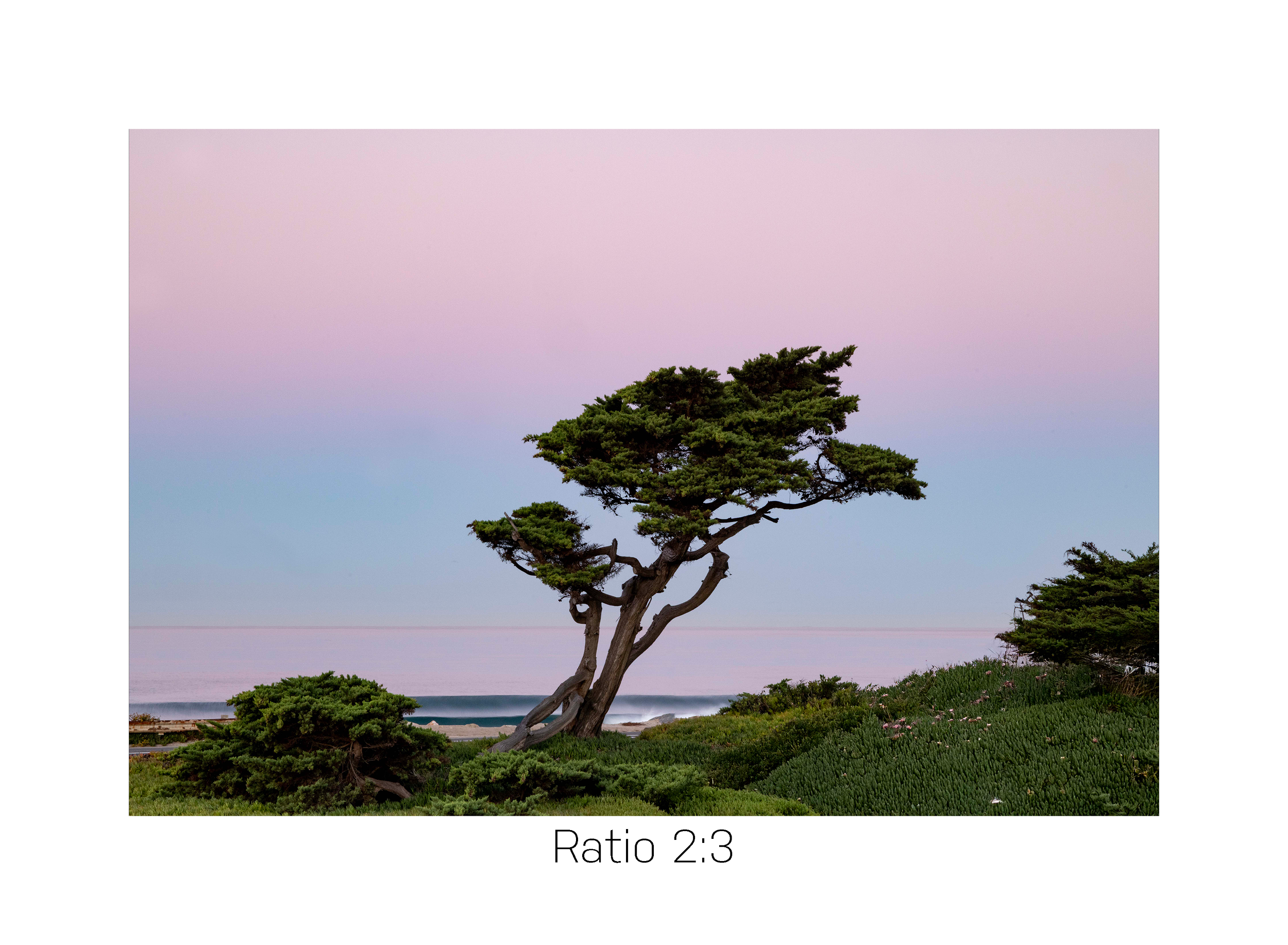 PCH Dawn-16x24.png