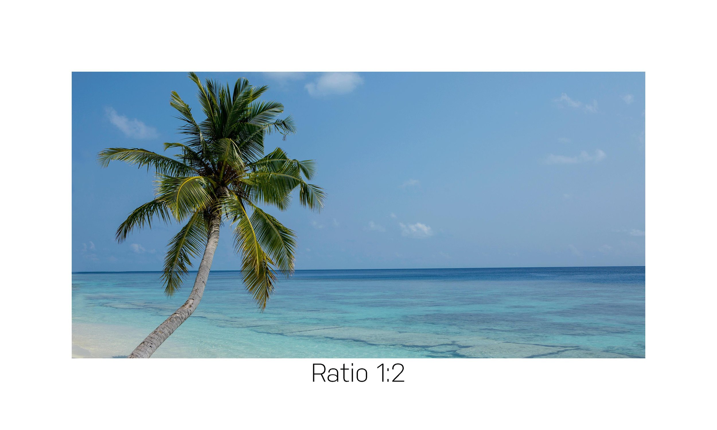 PicturePerfect-12x24.jpg