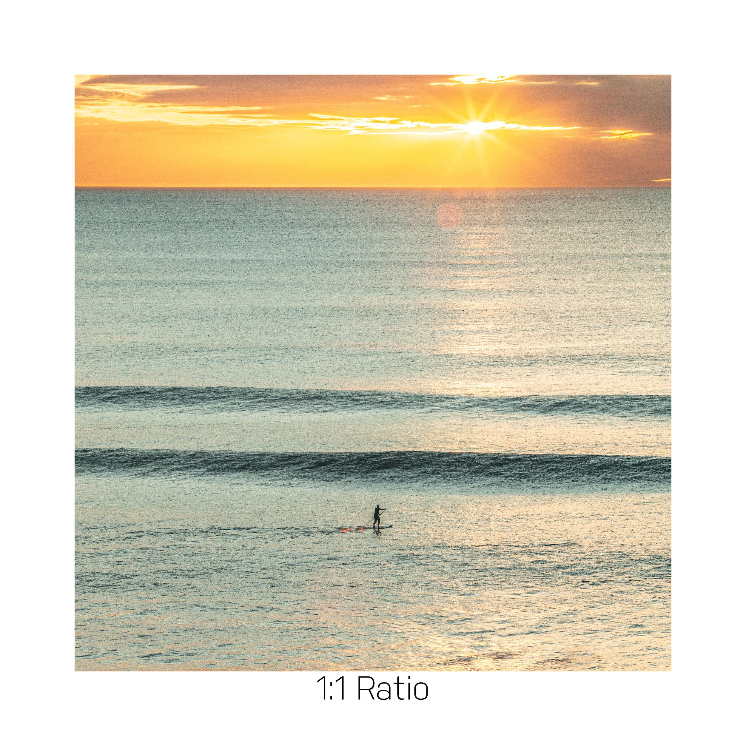 LastSweep-12x12.jpg