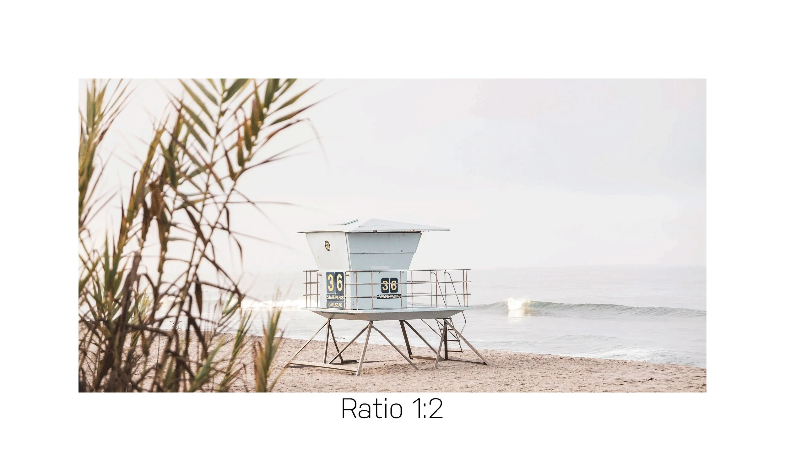 Tower-36---12x24-Ratio.jpg