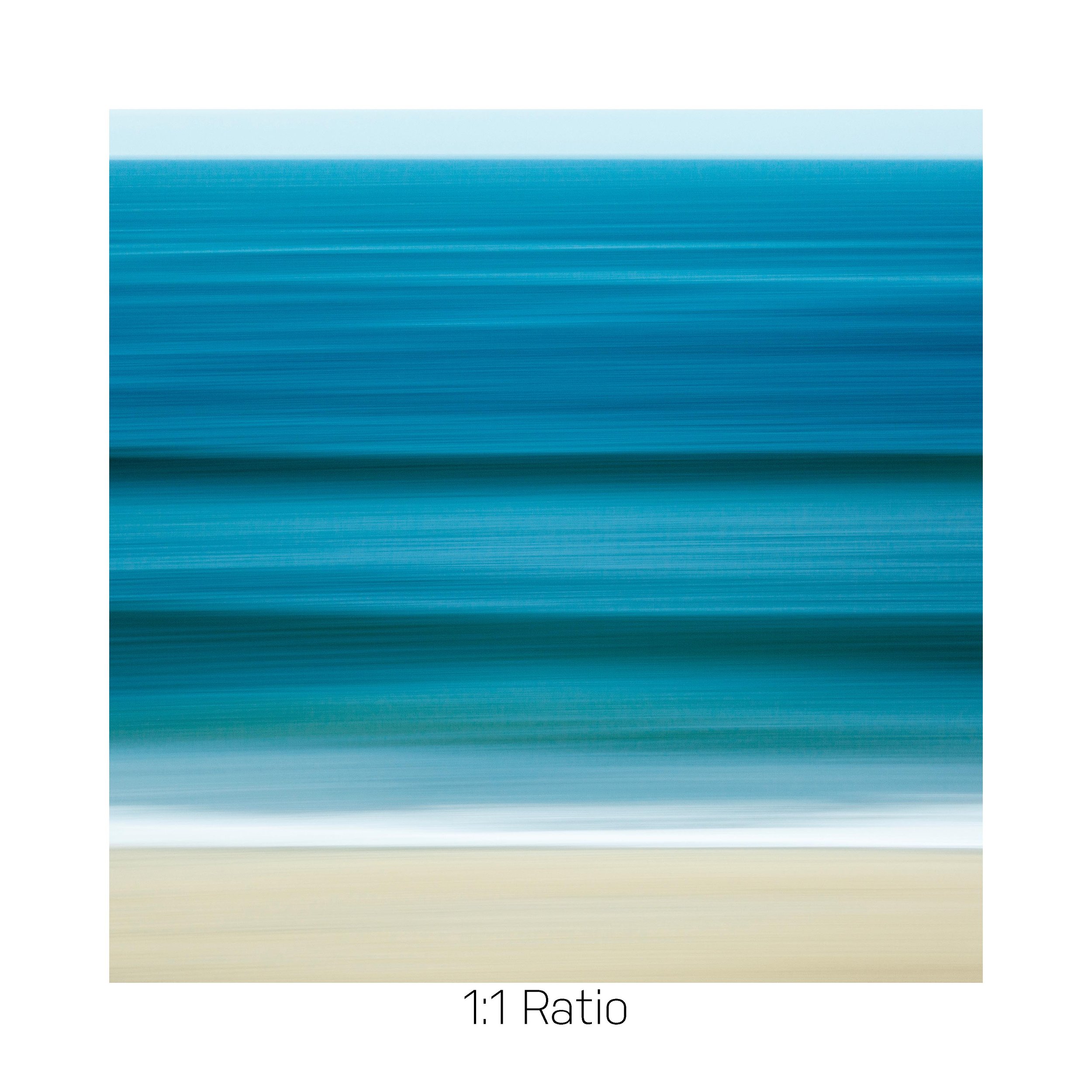 BlueMotion-12x12.jpg
