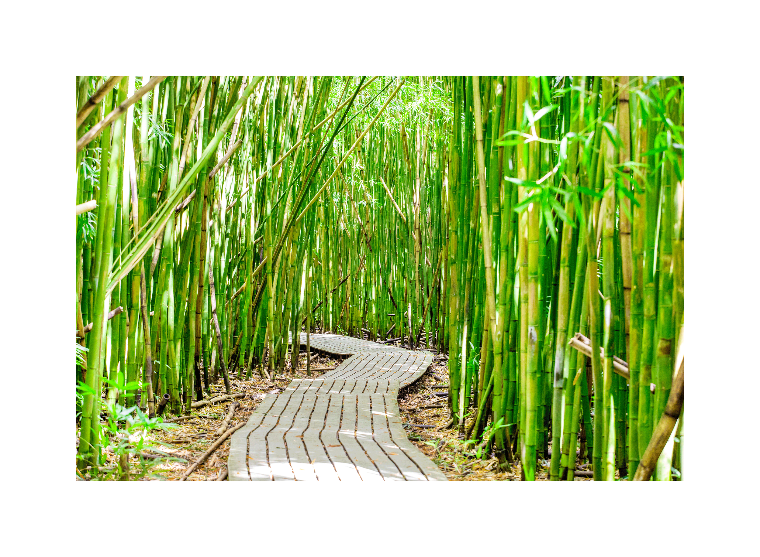 Image0023.png
