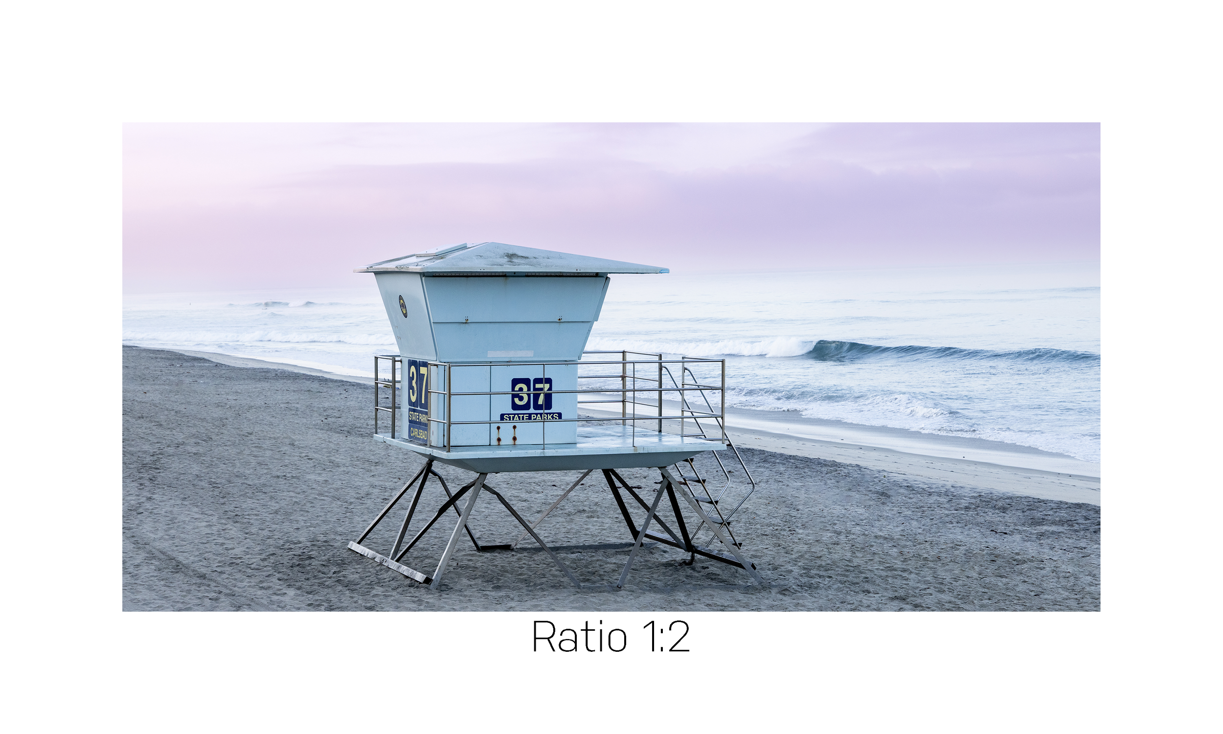 Towe 37- purple-12x24.png