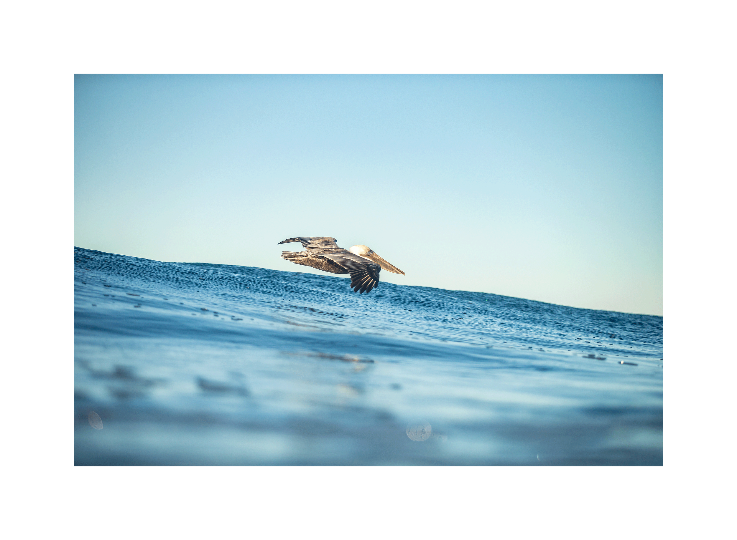 Image0048.png