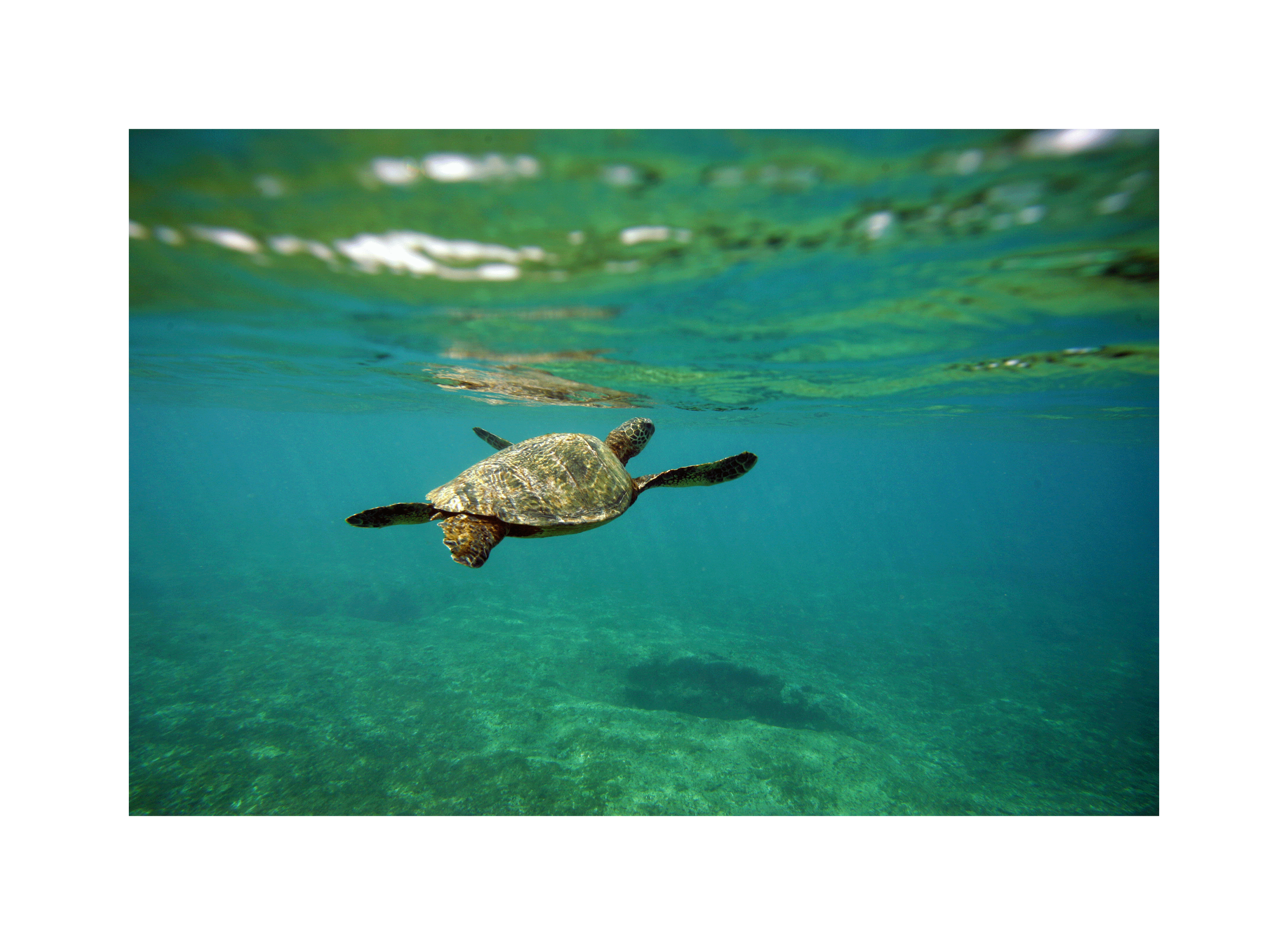 Image0146.png