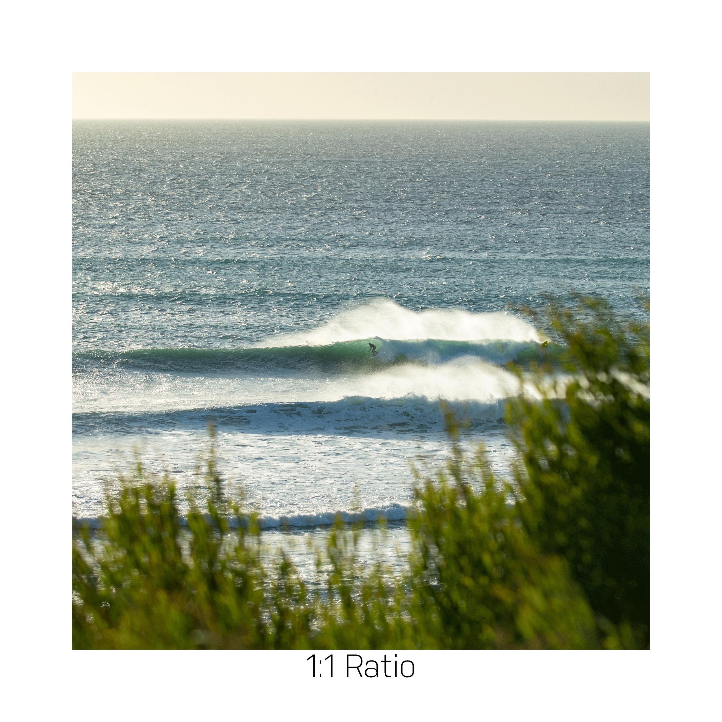 SwamisSurfer-12x12.jpg
