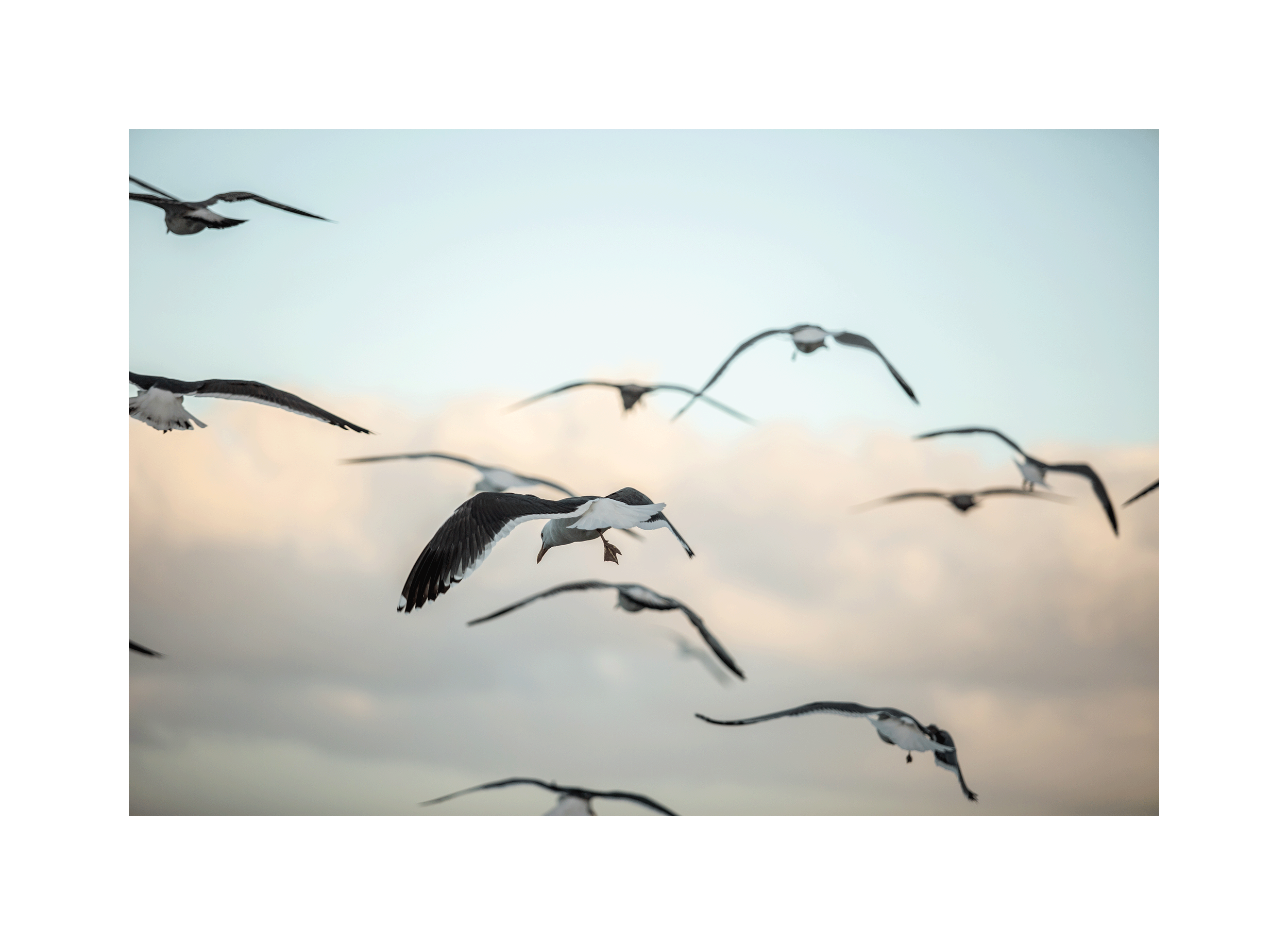 Image0059.png