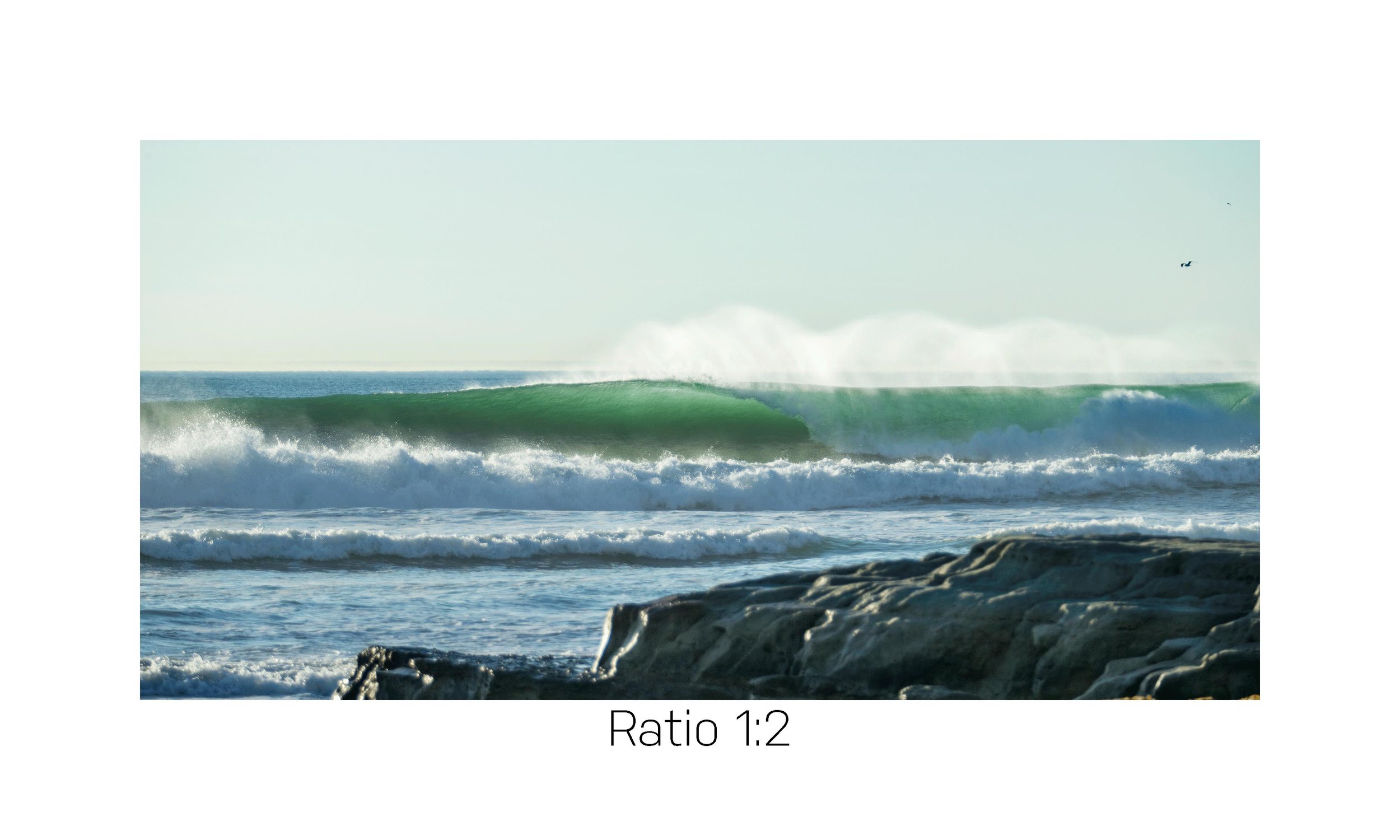 DelMar-dog-Beach-B-12x24.jpg