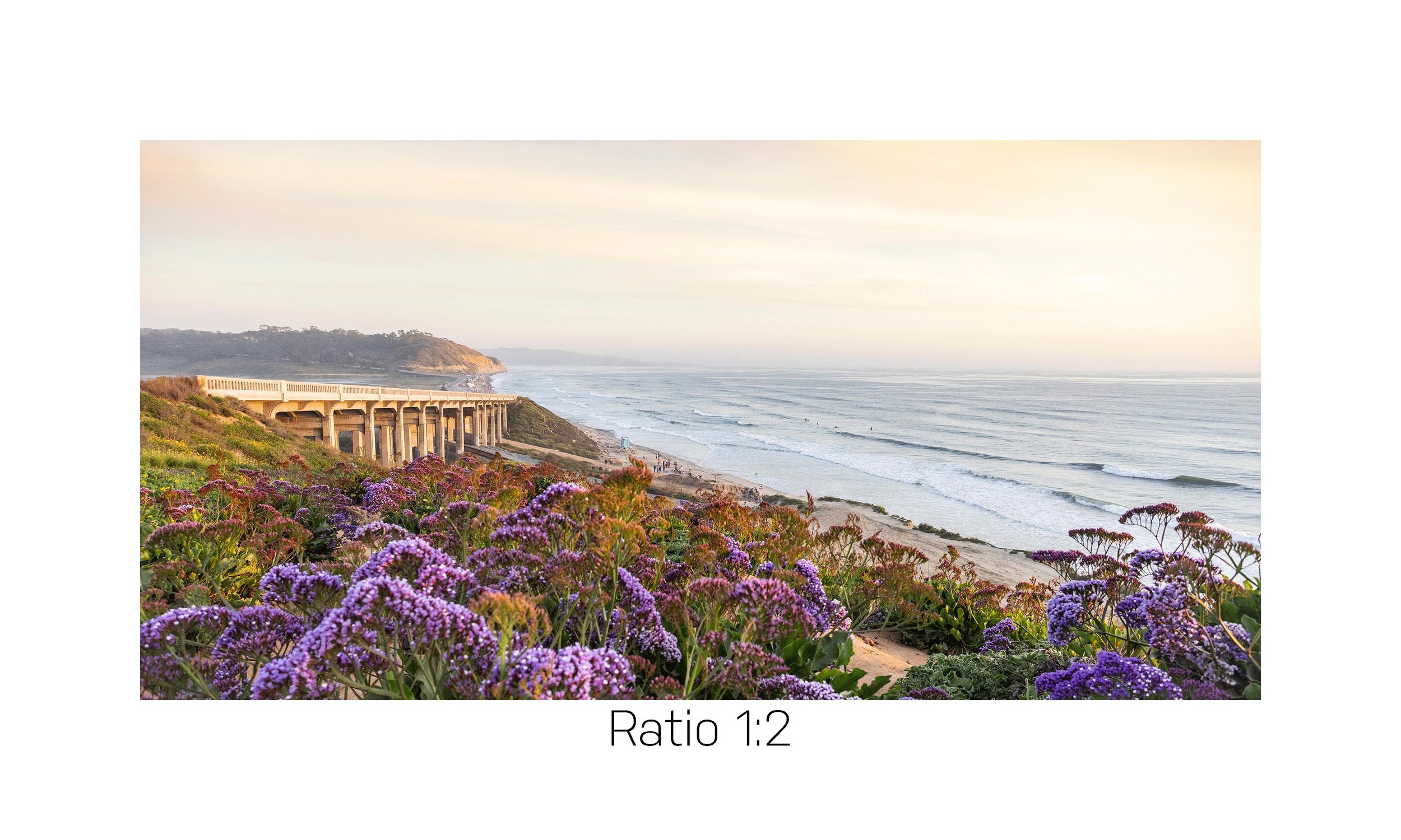 SuperTorrey-12x24.jpg