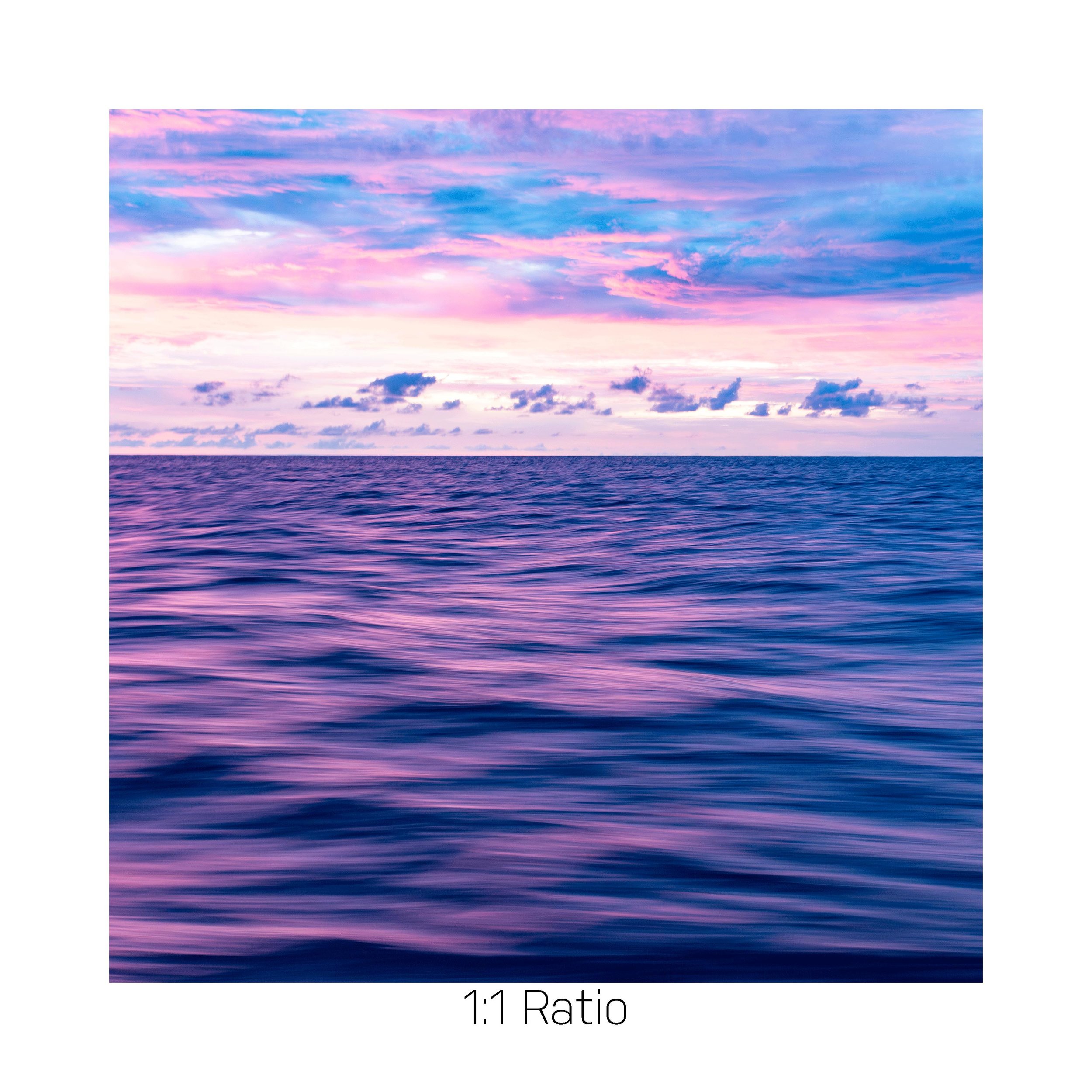 CottonCandy-12x12.jpg