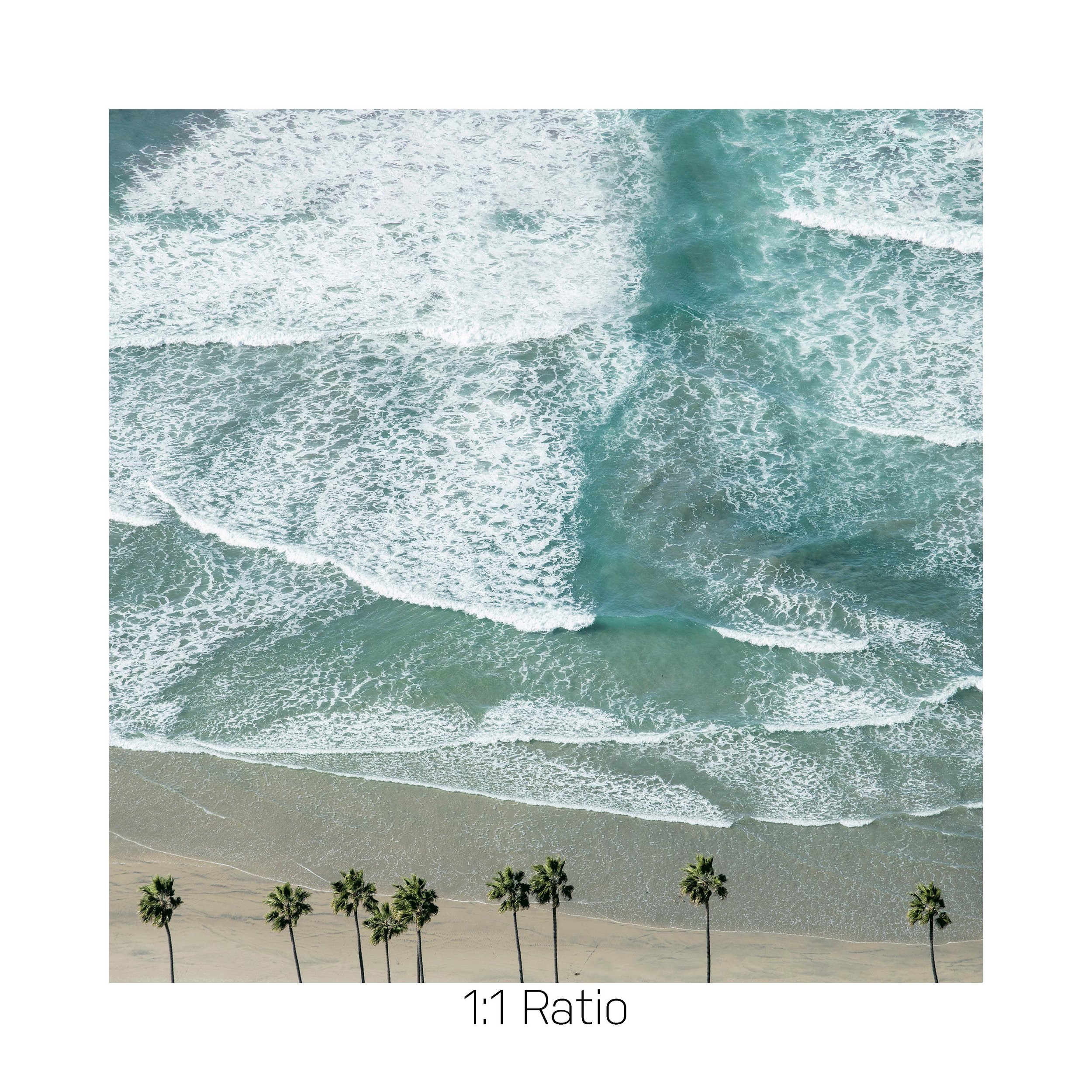 10Palms-12x12-NEW.jpg