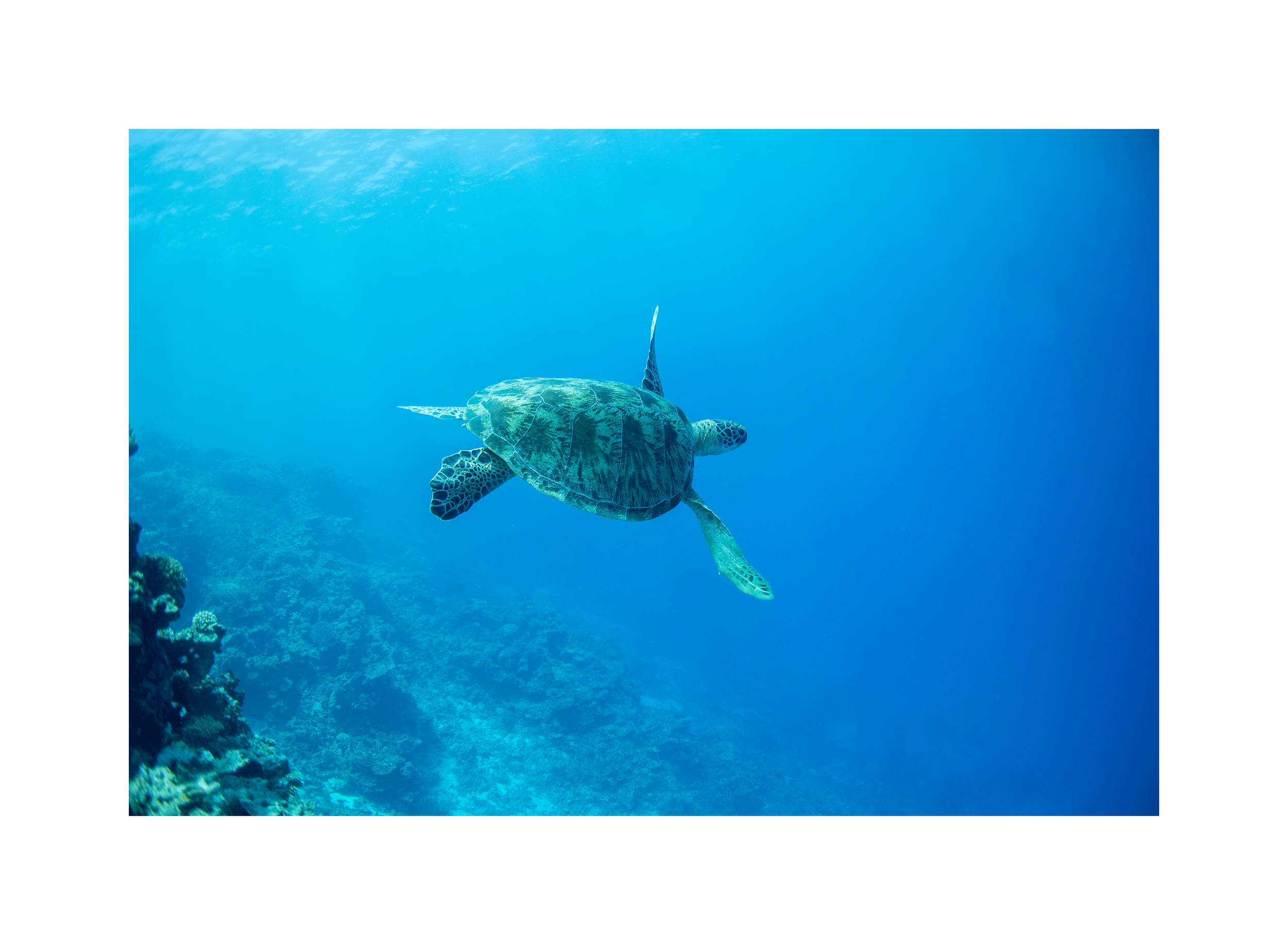 Image0095.png