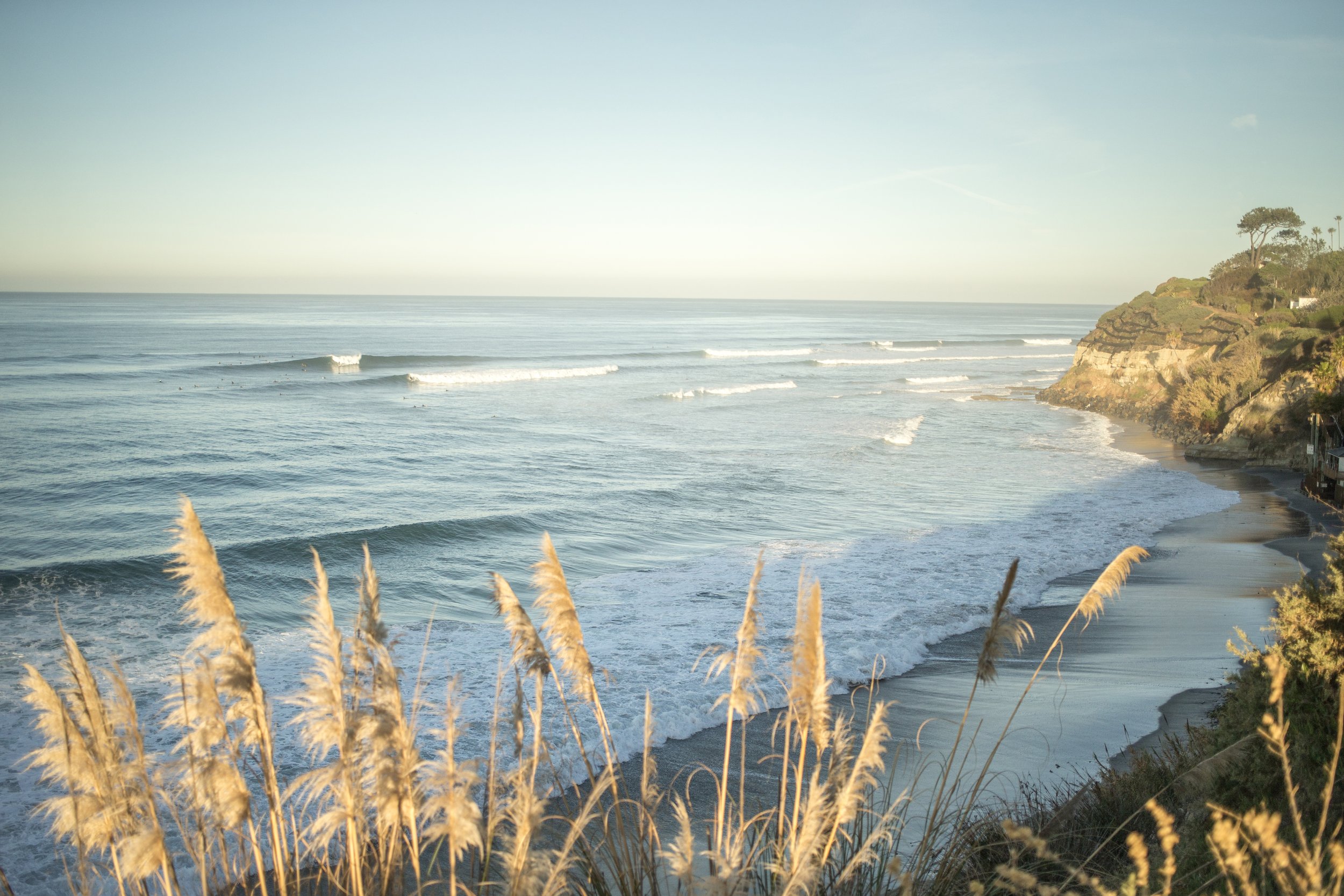 Swamis
