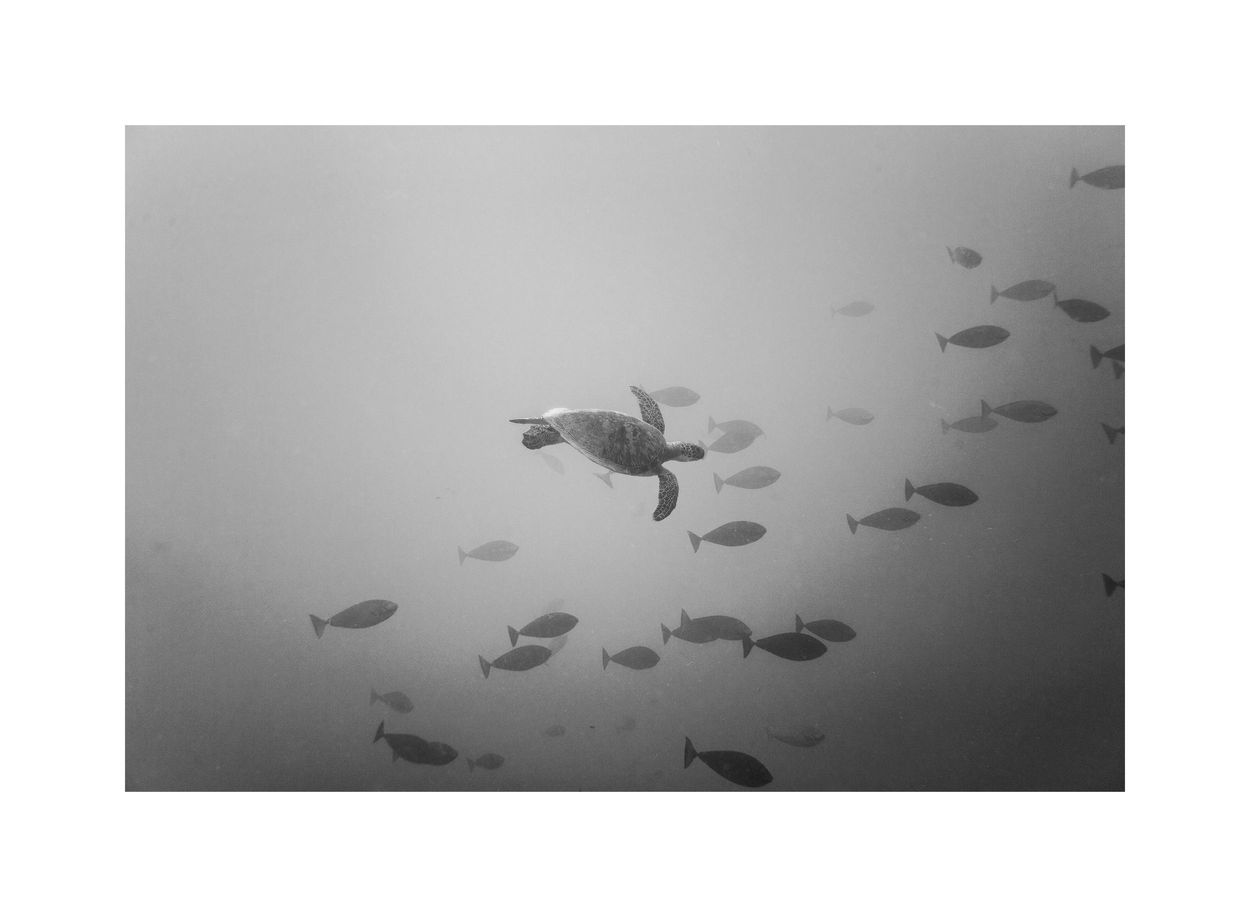 Image0094.png