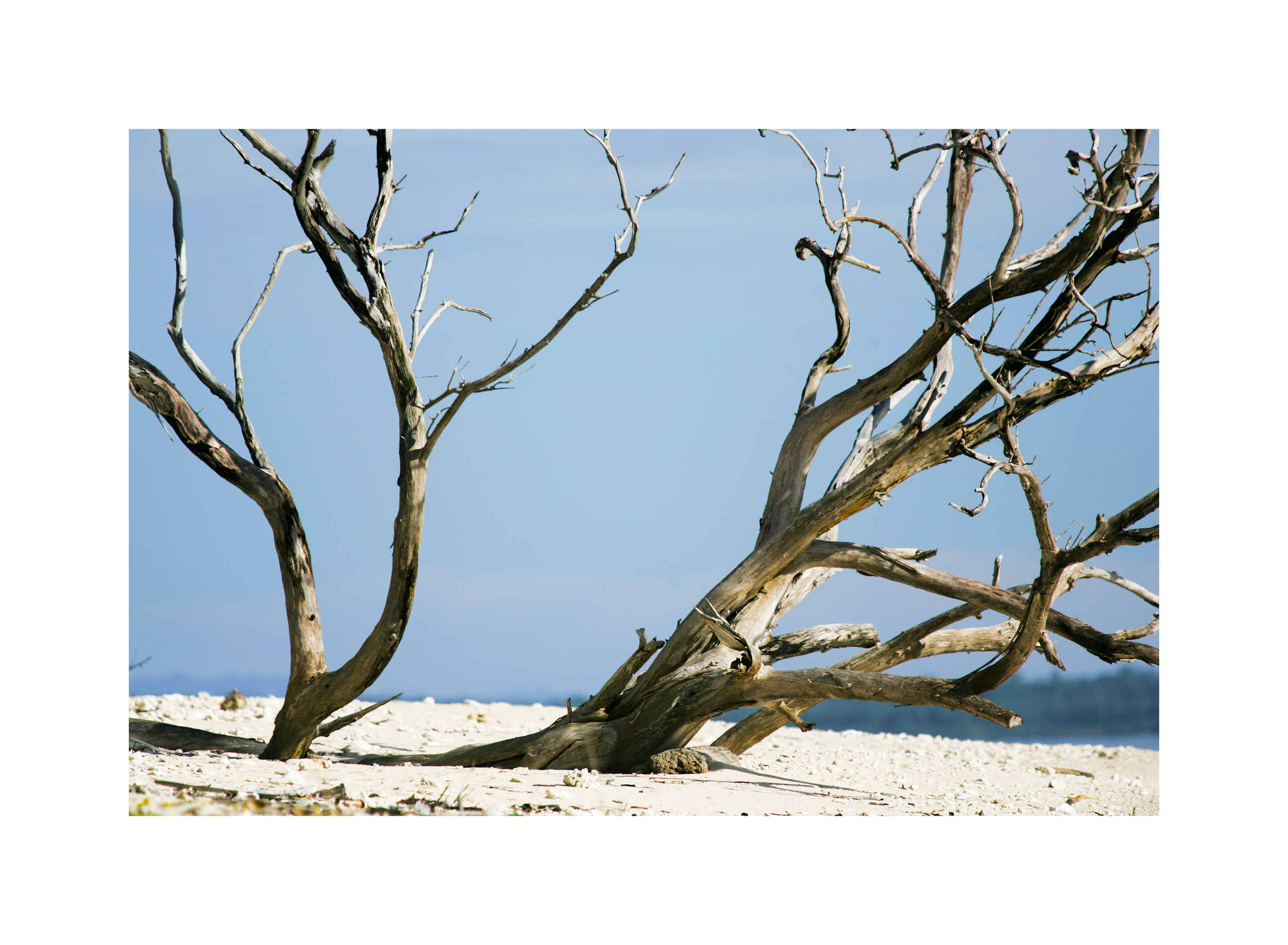 Image0135.png