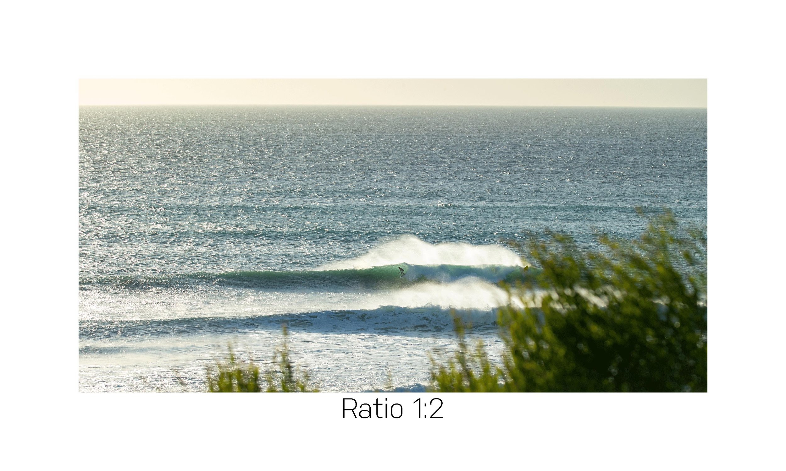 SwamisSurfer-12x24.jpg