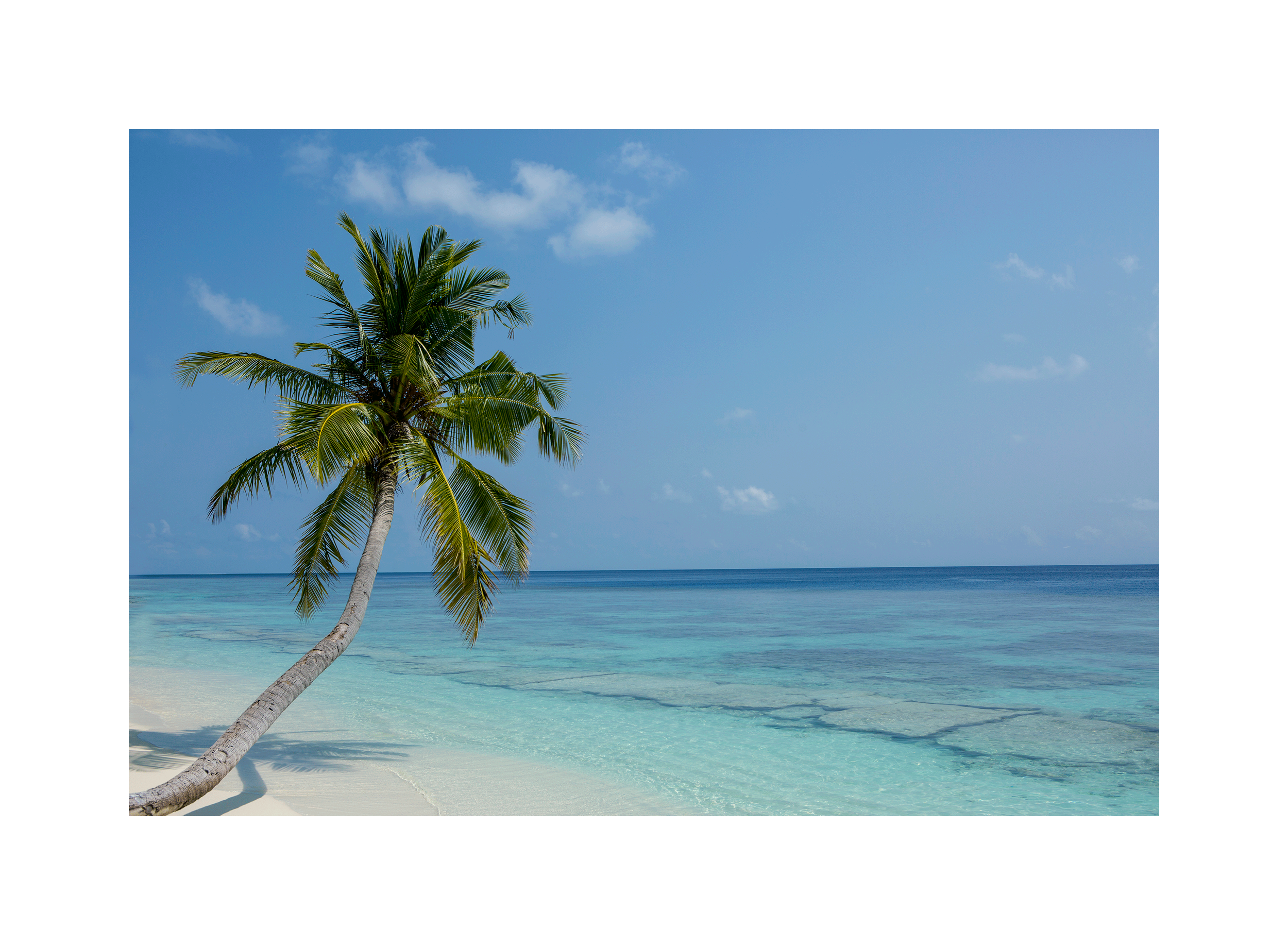 Image0088.png