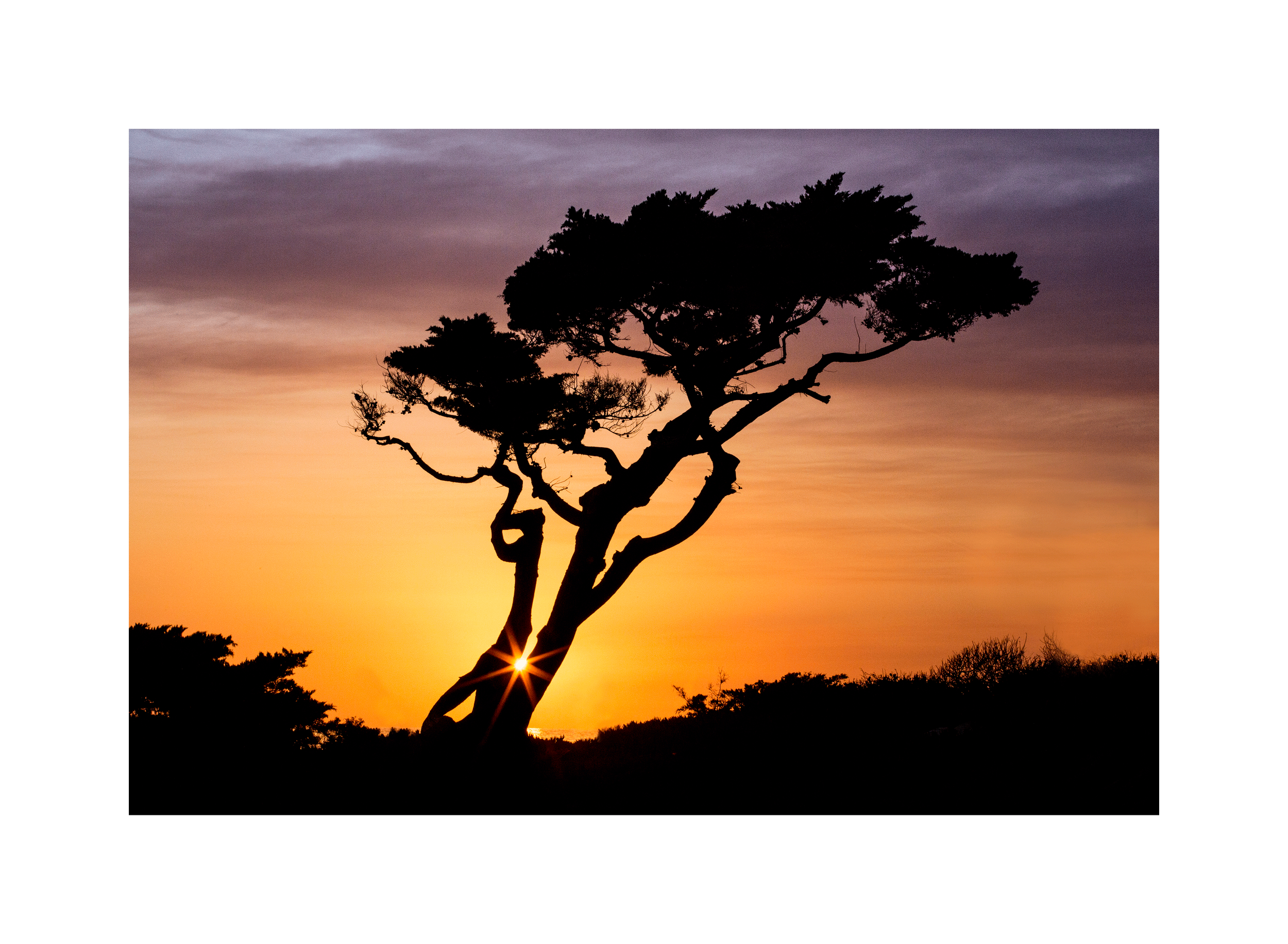 Image0071.png