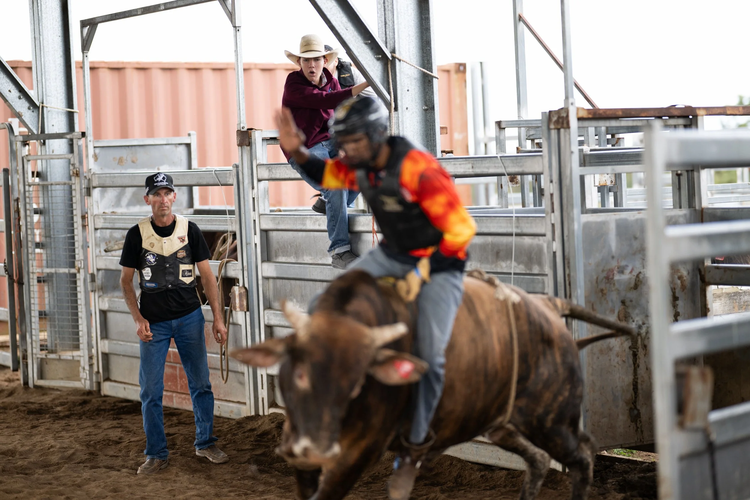 aus-bull-riding-cherbourg-035-20260621062454668.jpg