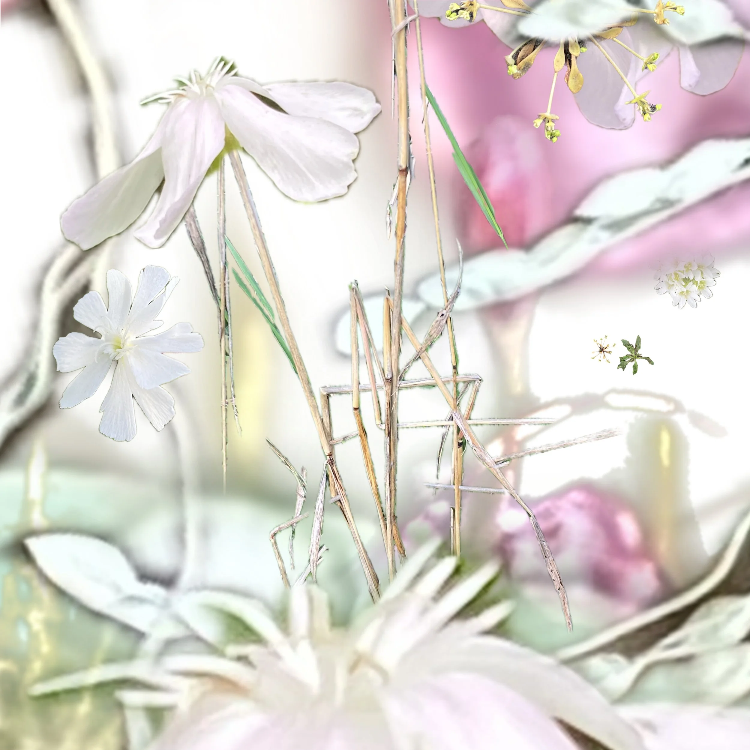 Kuby MS Journey 3.JPG