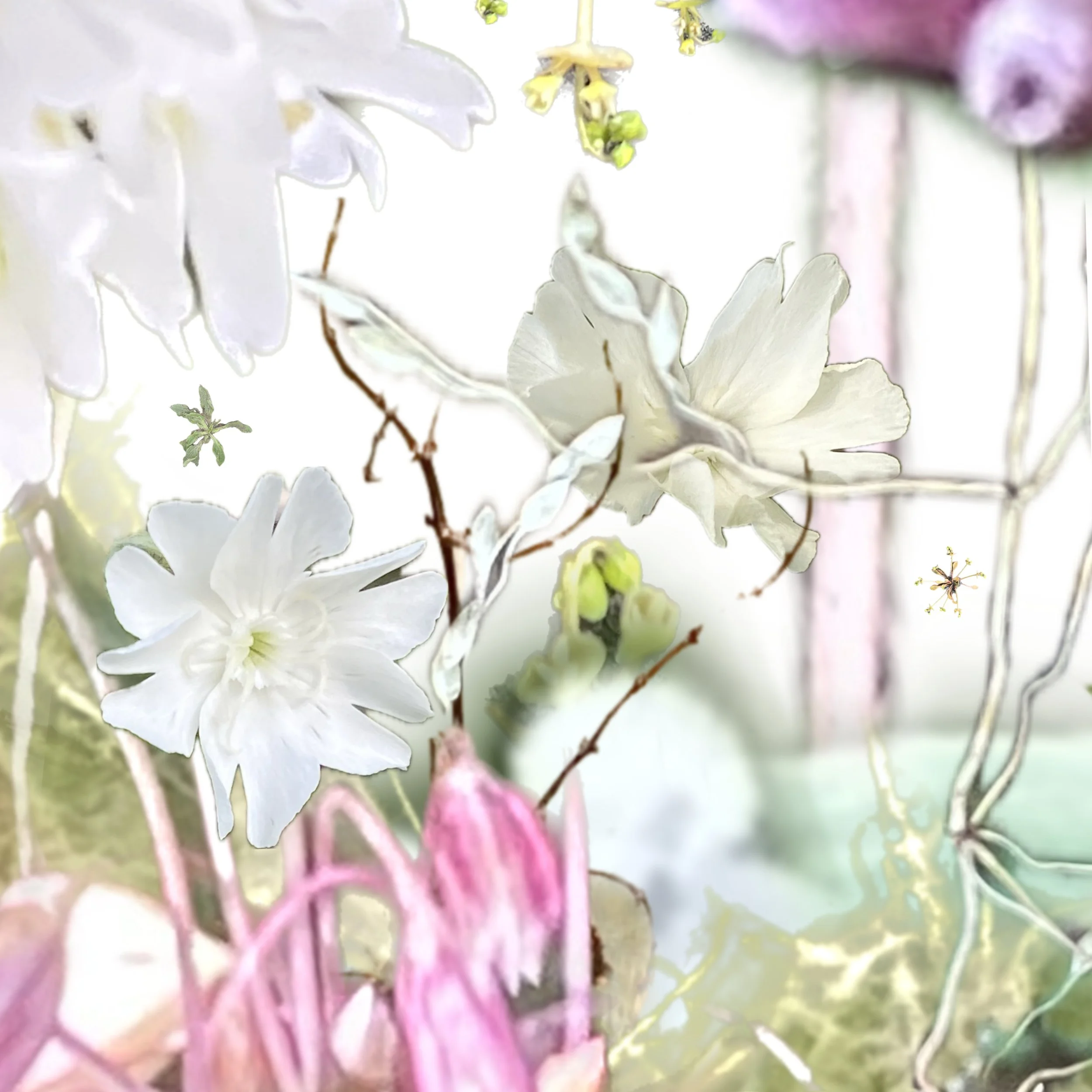 Kuby MS Journey 1.JPG