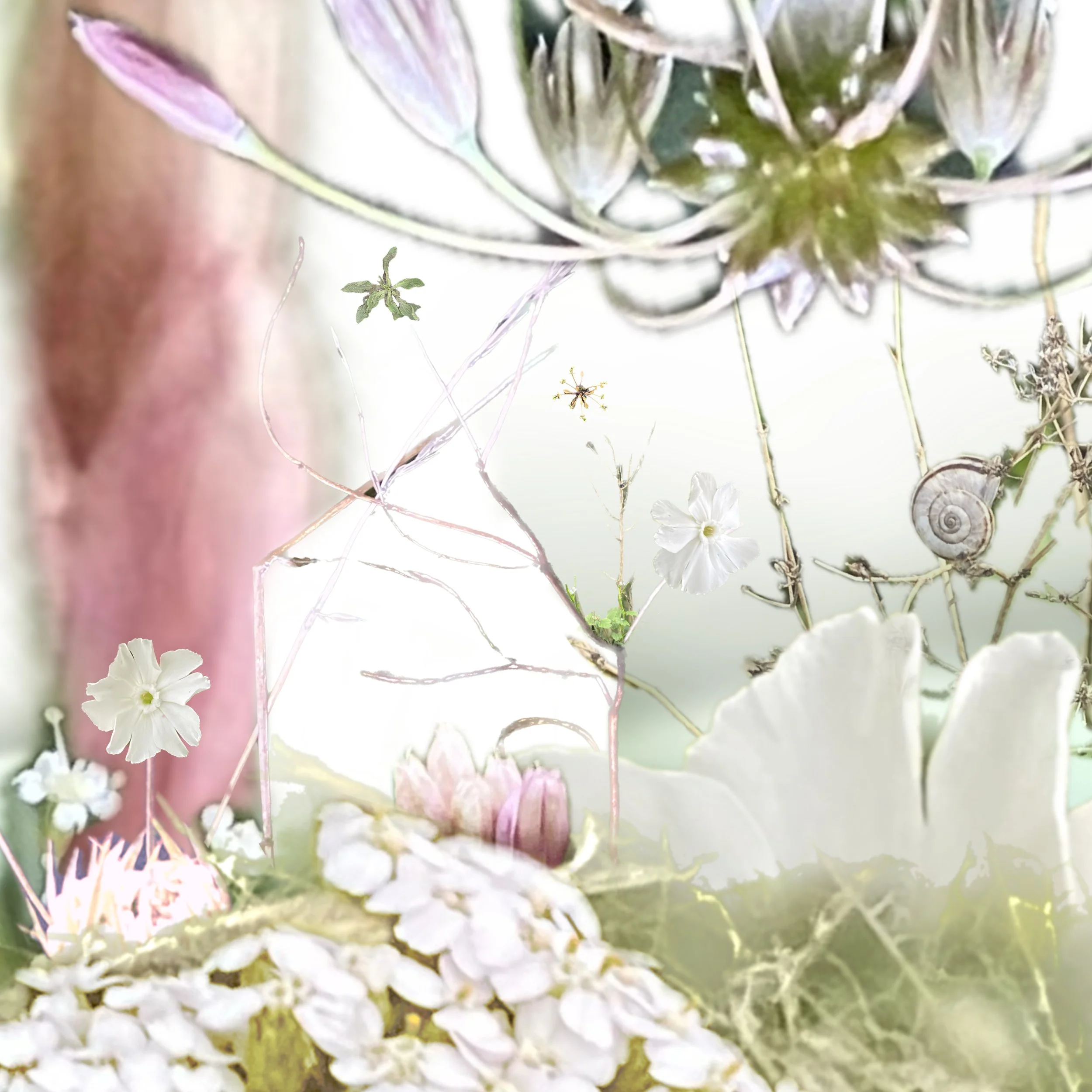 Kuby MS Journey 2.JPG