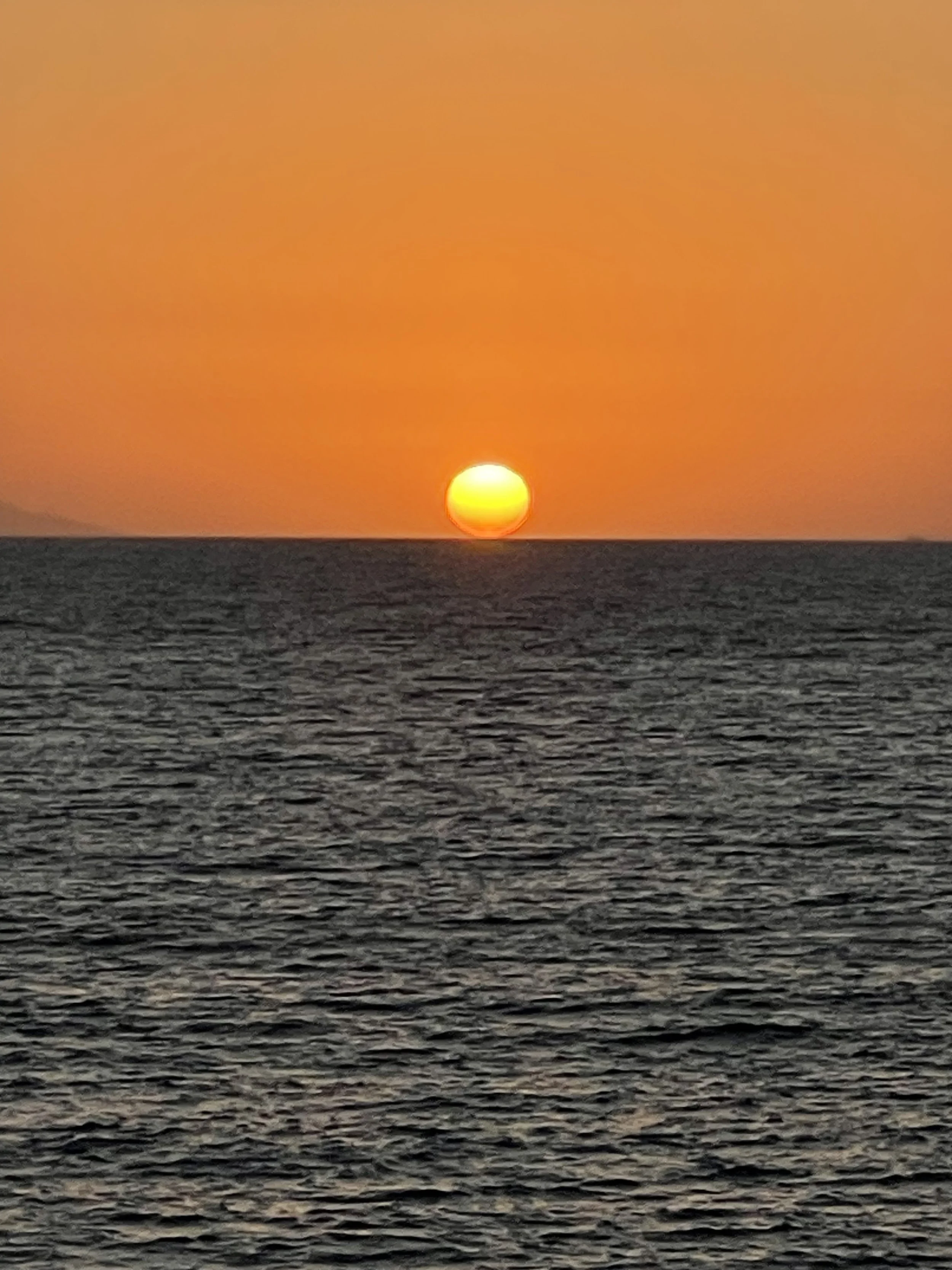 IMG_8879.jpg