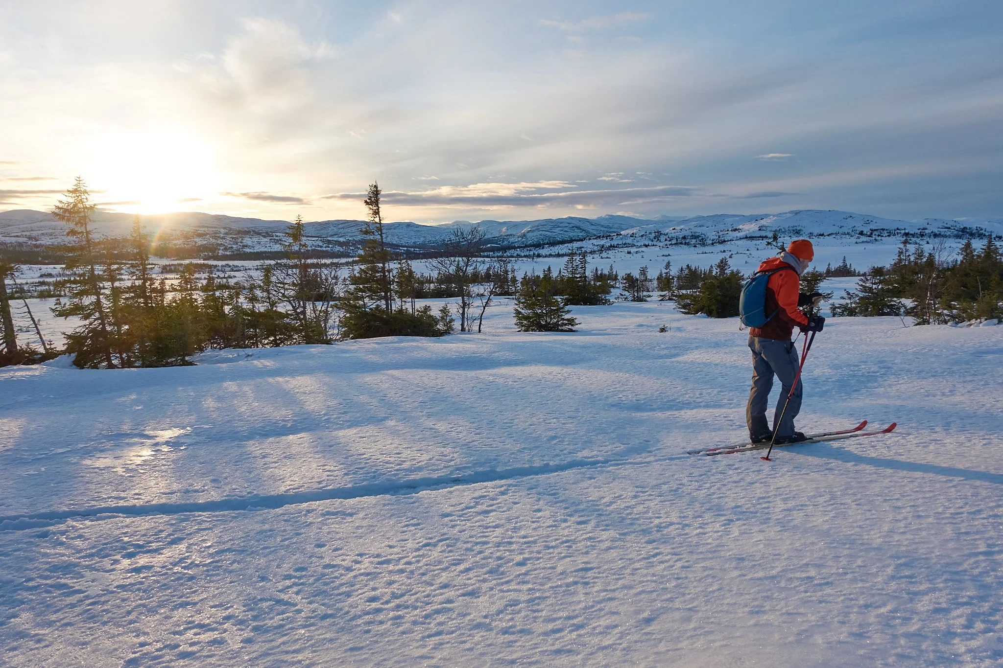 ÄLGBERGSRUNDAN UNGROOMED